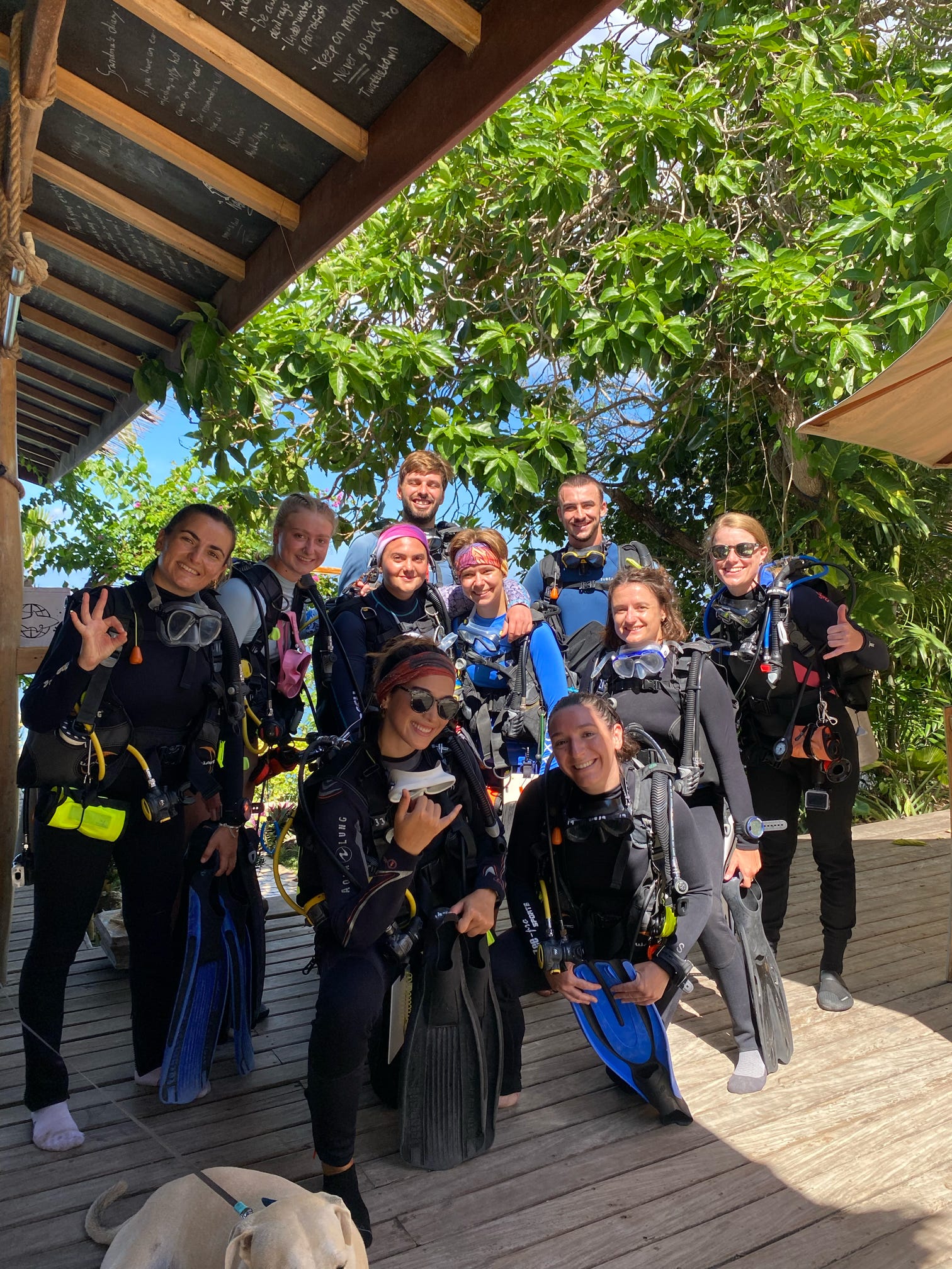 Fun dive!