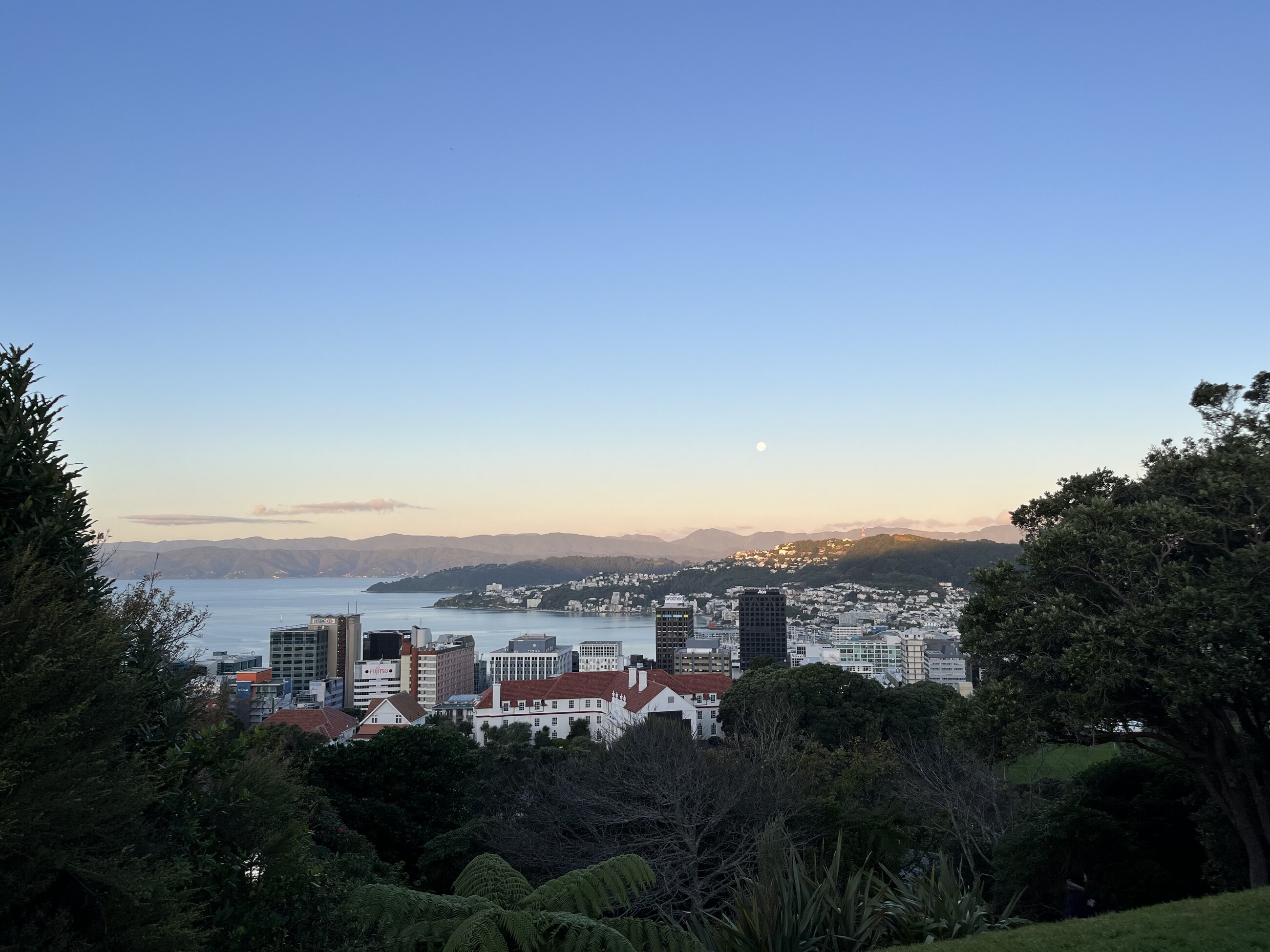 View of Welly on the walk to campus