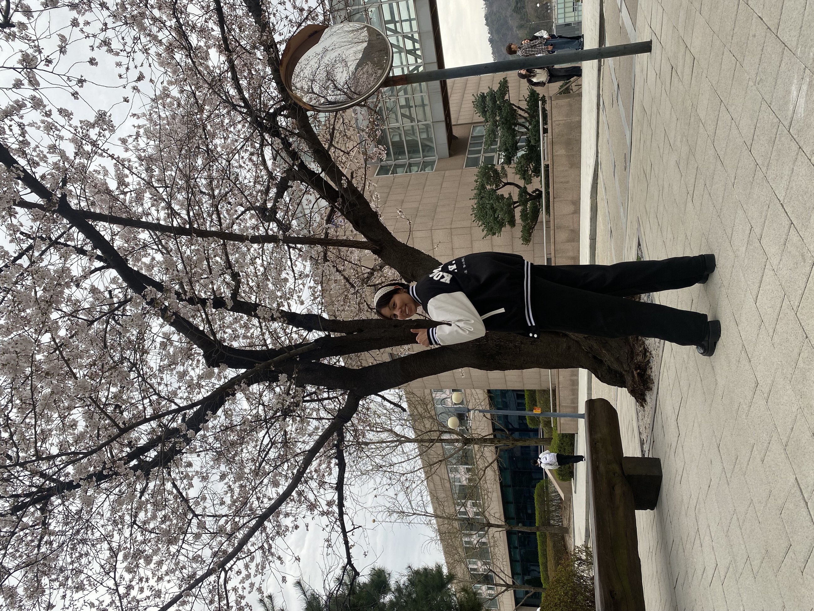 On campus photo wearing the school's leather man jacket during the early bloom of the cherry blossoms 