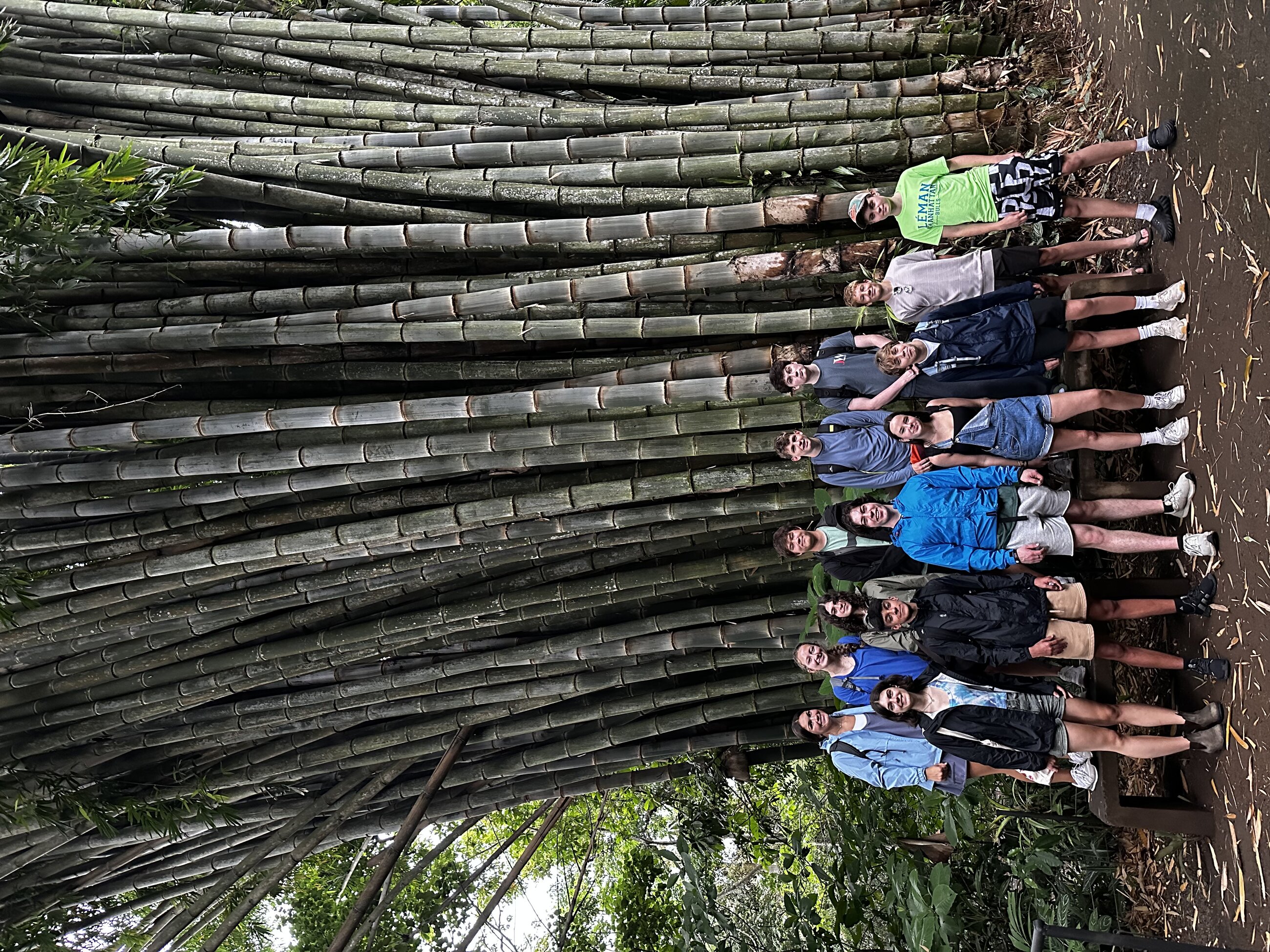 Bamboo Forest