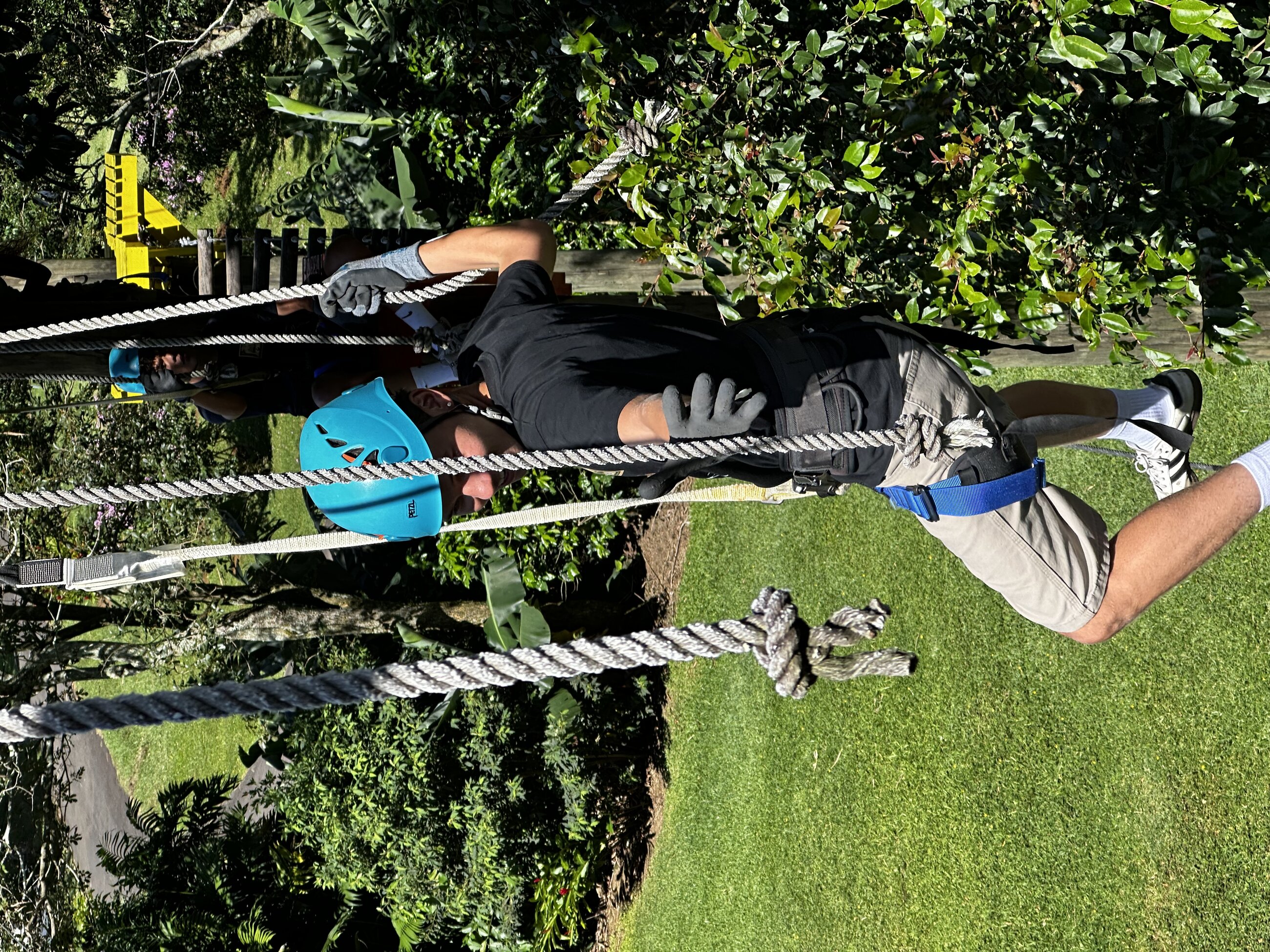 Ropes over coffee plantation