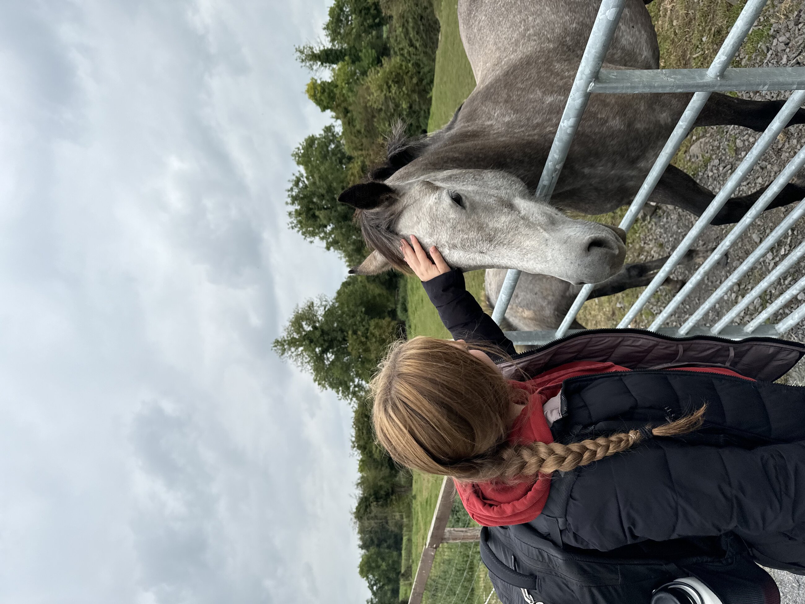 Causey Farm
