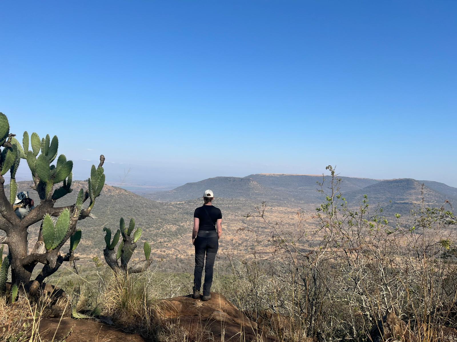 Mountains 