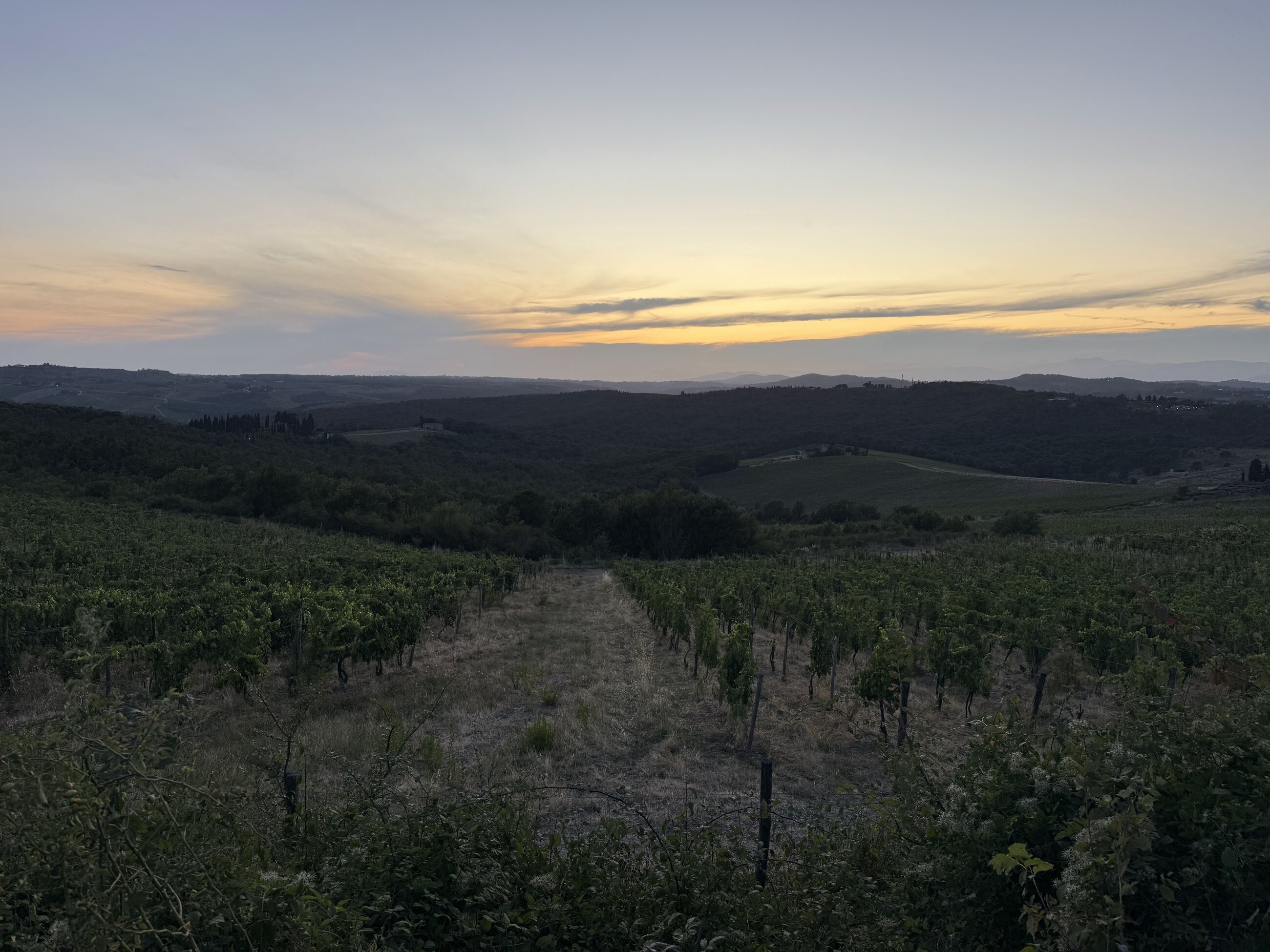 Chianti Valley