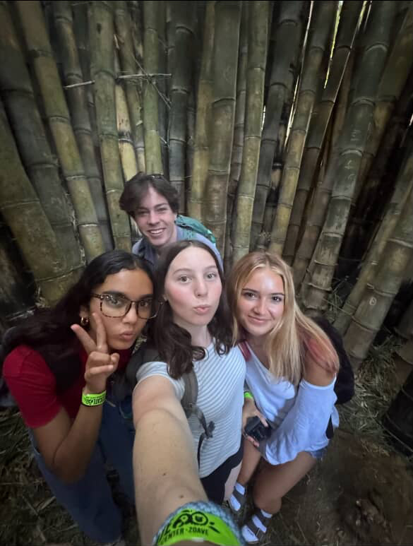 In a bamboo forest