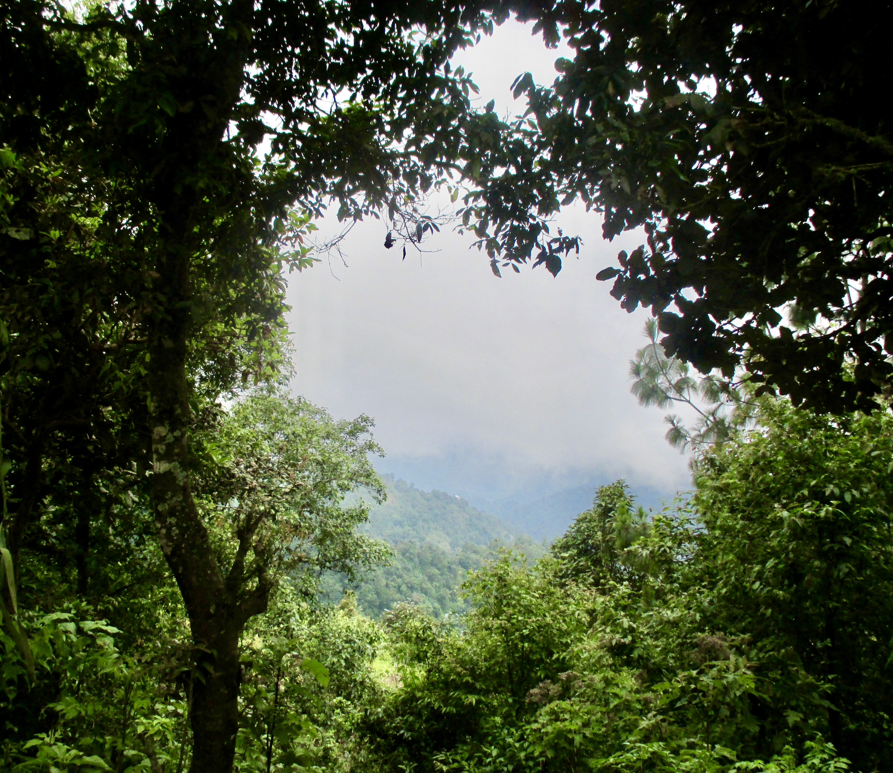 Three day trek 