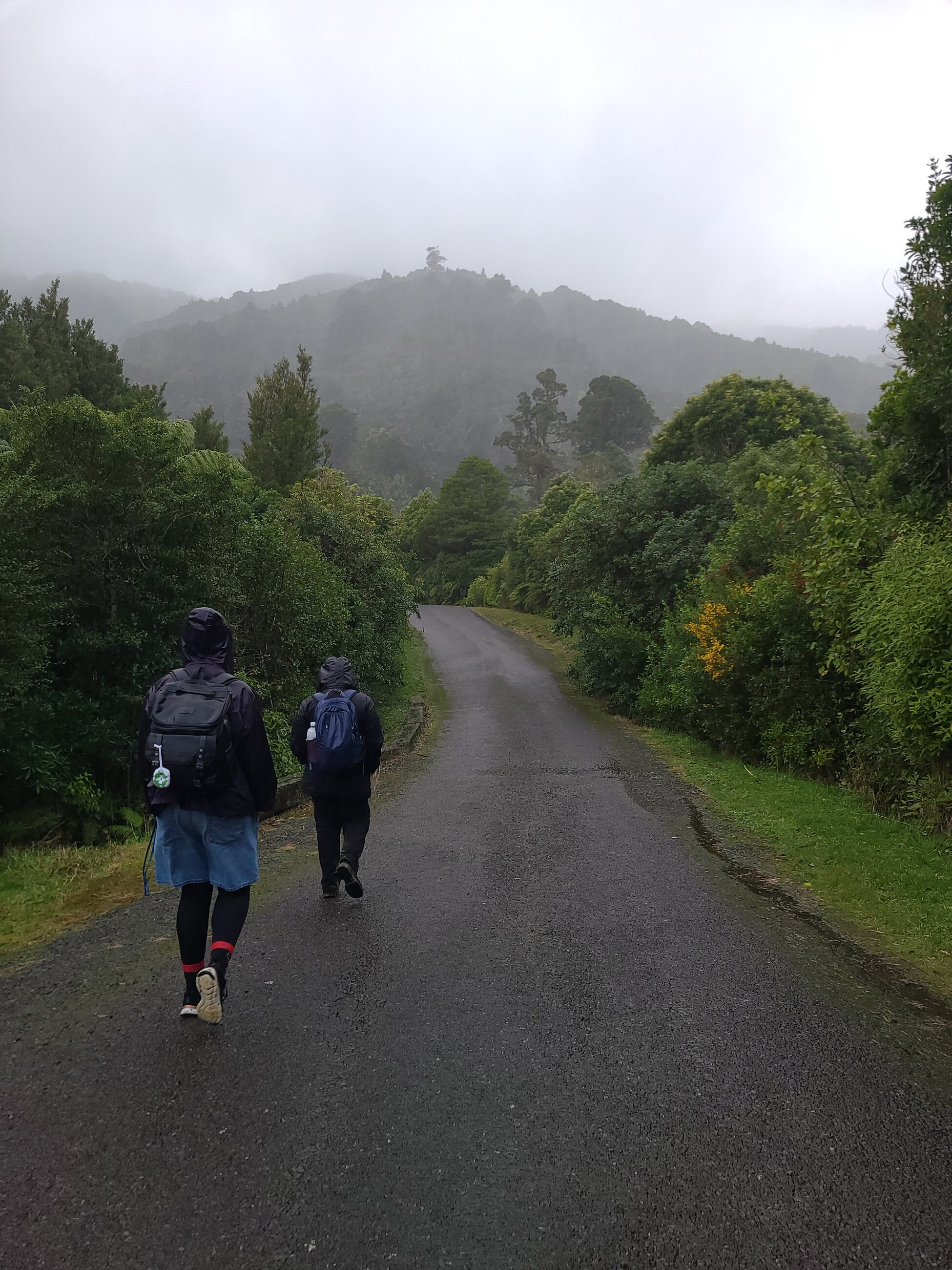 Saturday Hike 
