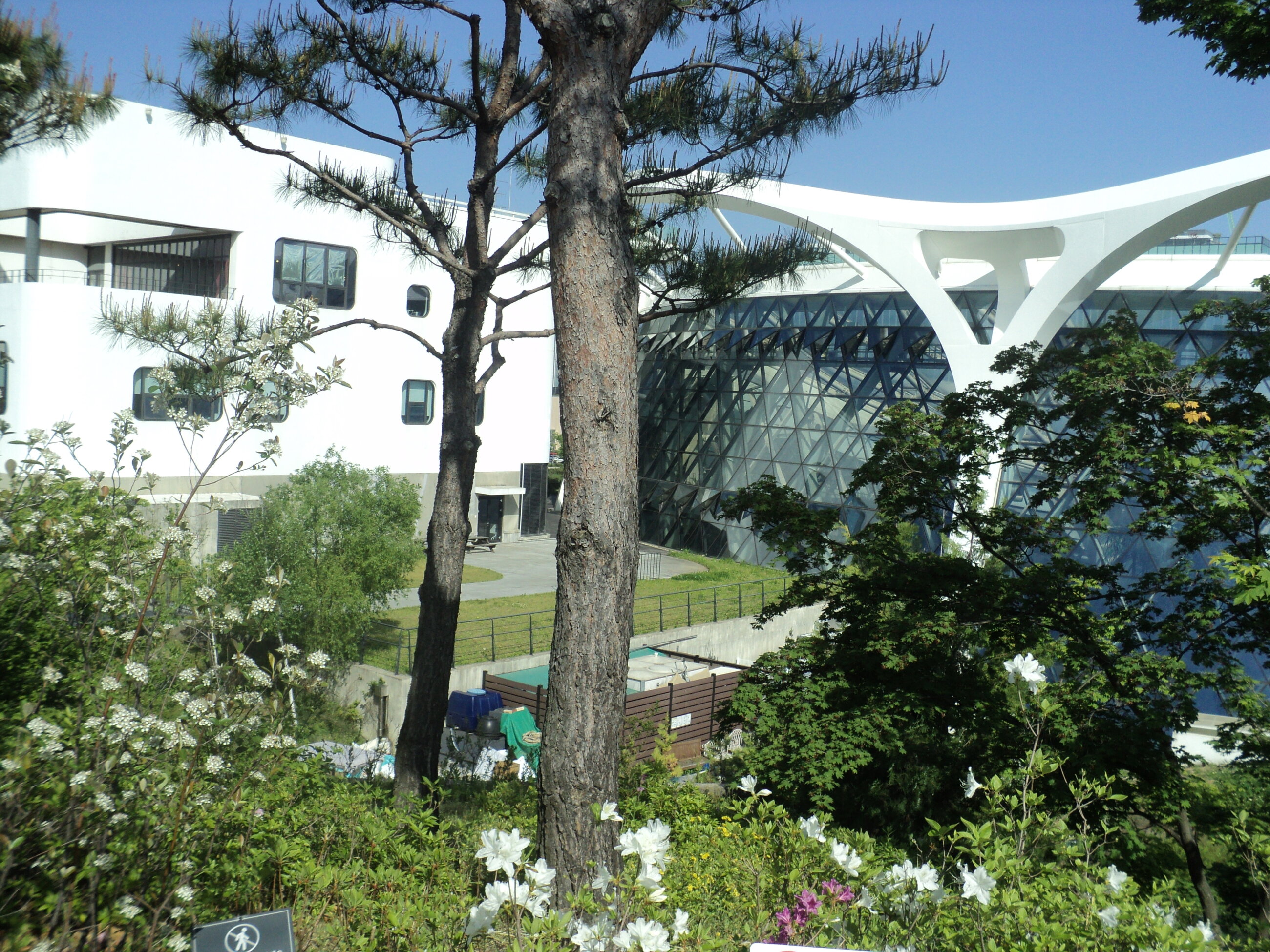 Korea's Botanical Garden~