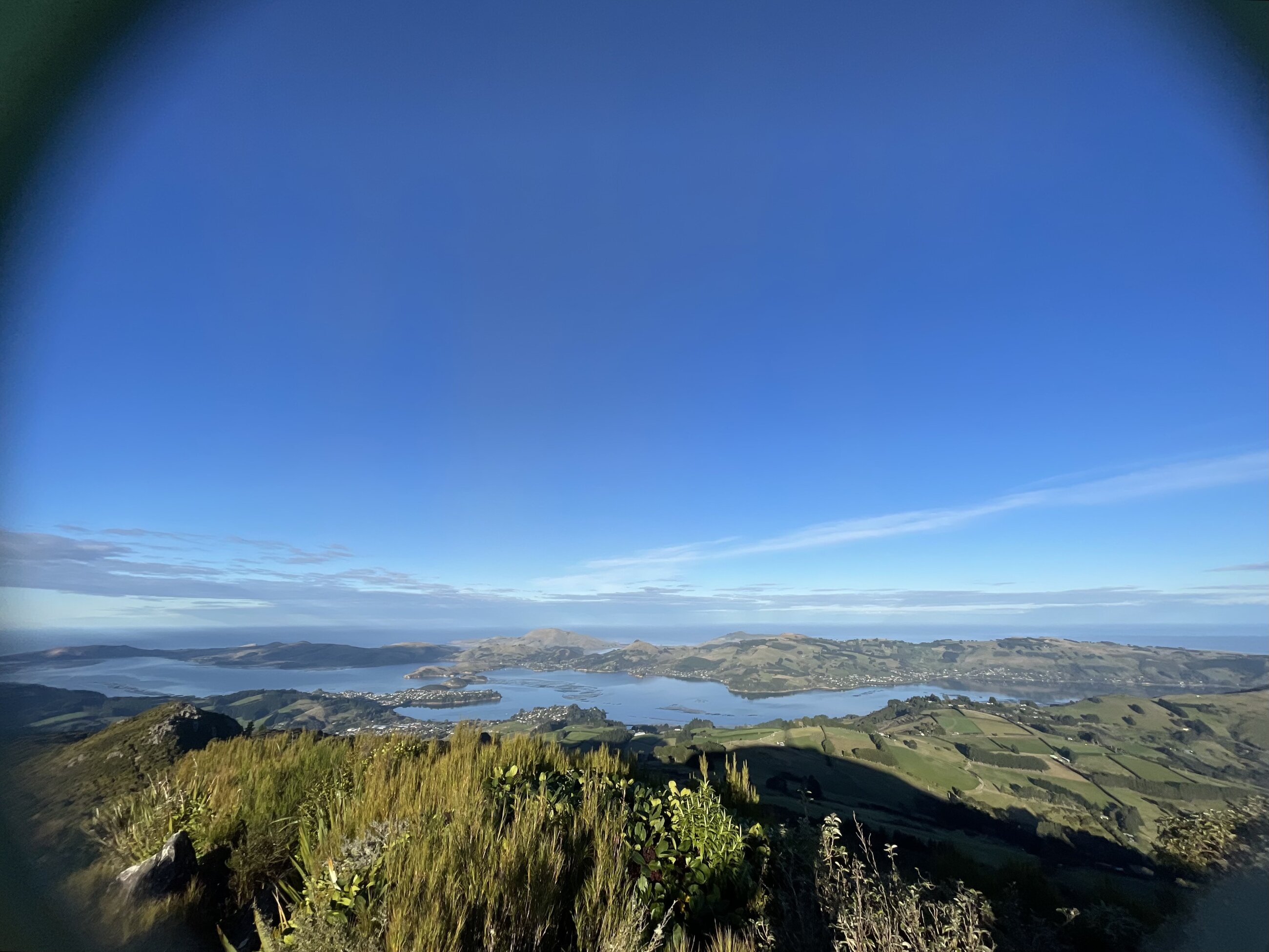 view of the peninsula and harbor from mt cargill