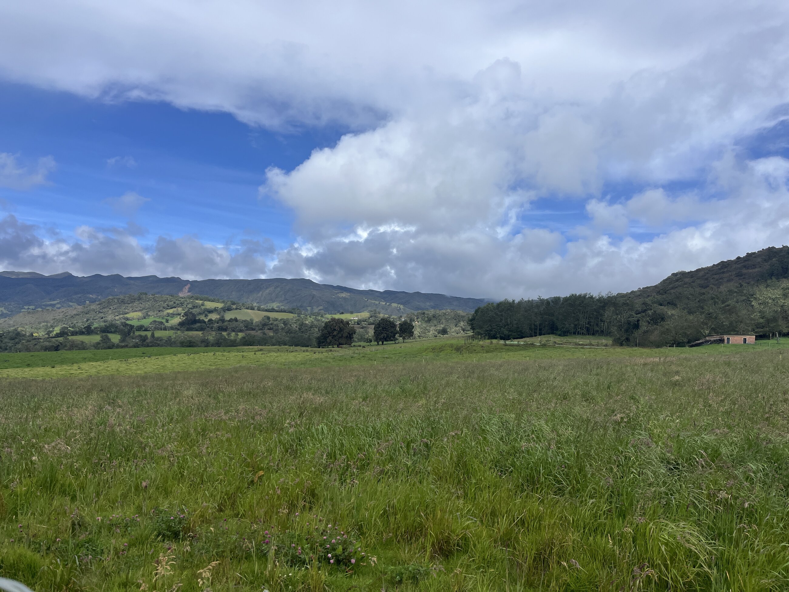 The countryside and hiking