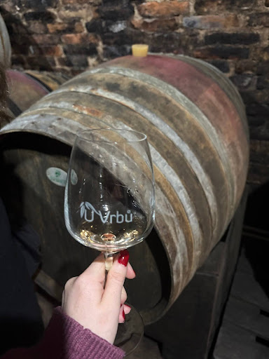 Wine from the family-owned winery we stayed at with our included trip to Moravia