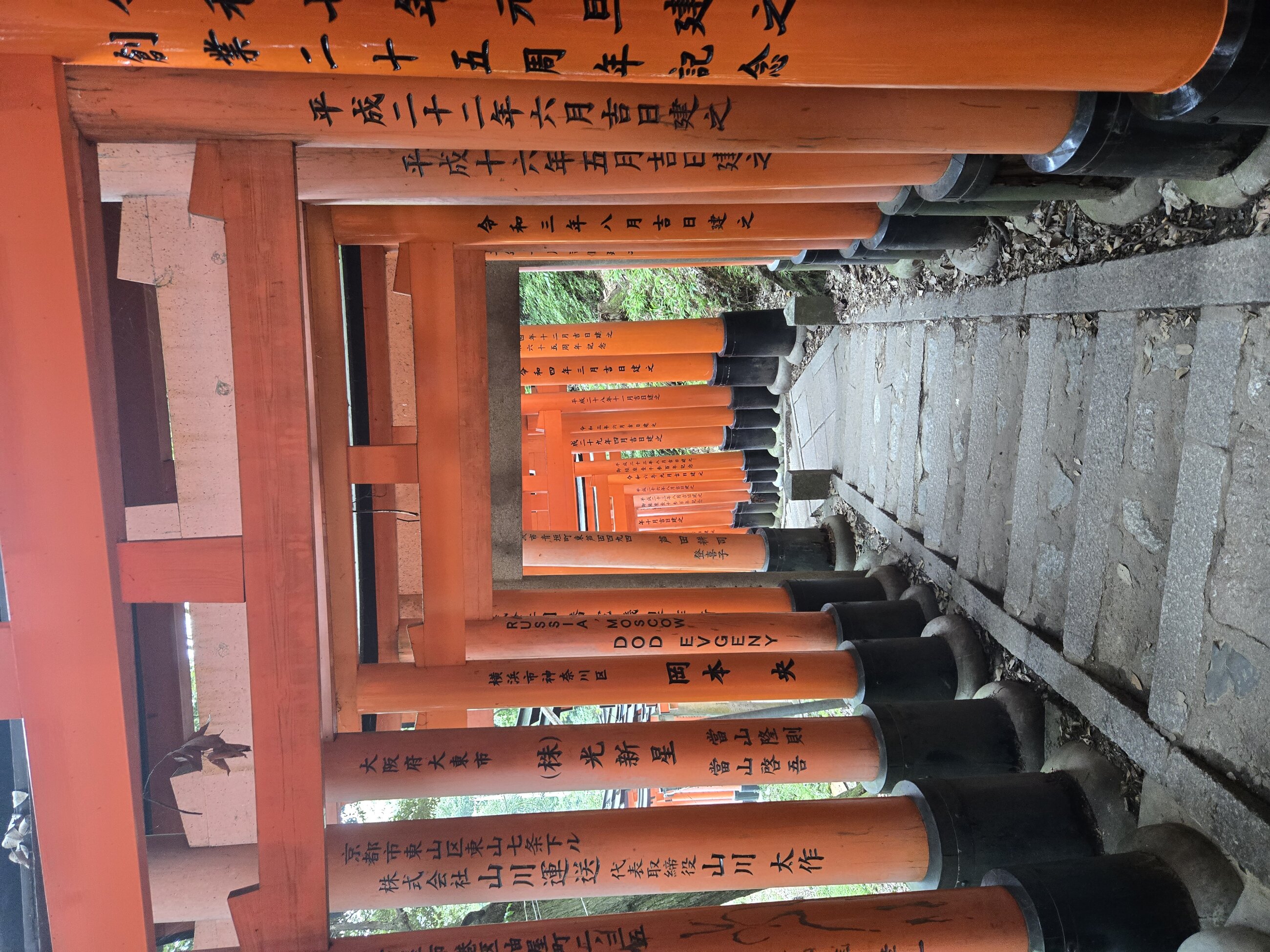 somewhere in kyoto