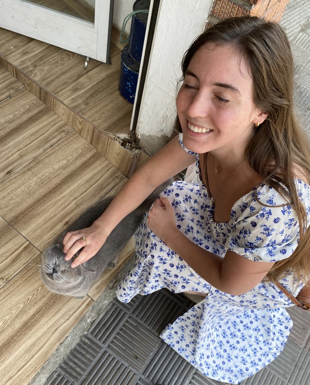 We're making the same face! (Sevillian cat)