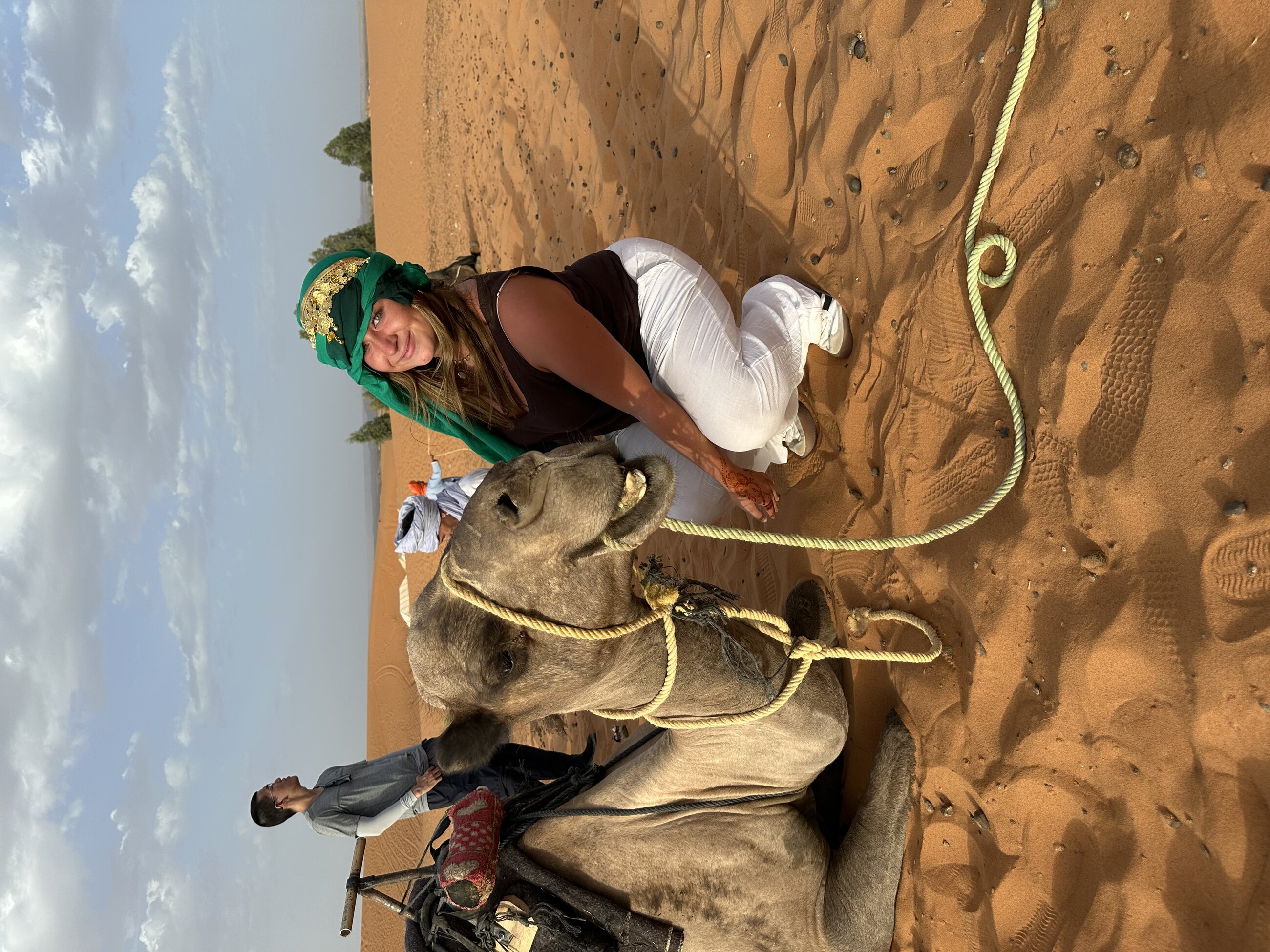 Camels in the Sahara!