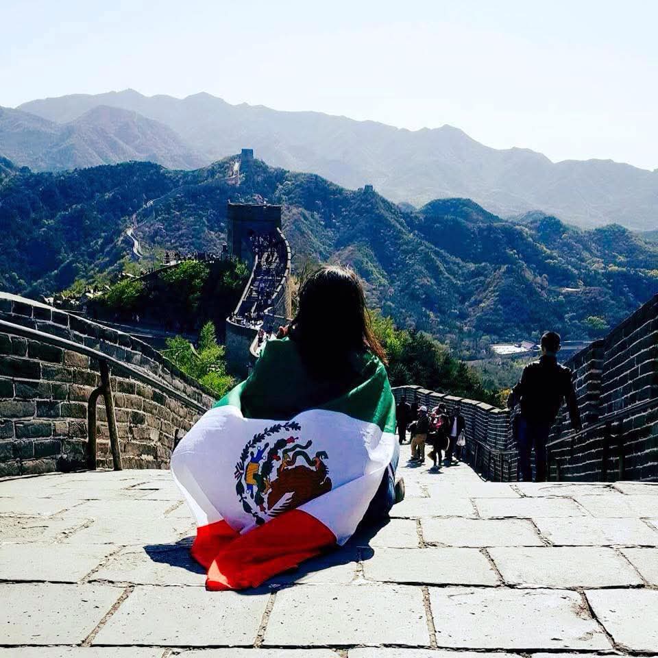 The great wall 