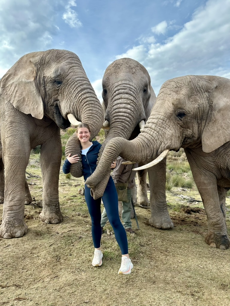 Meeting the Elephants!