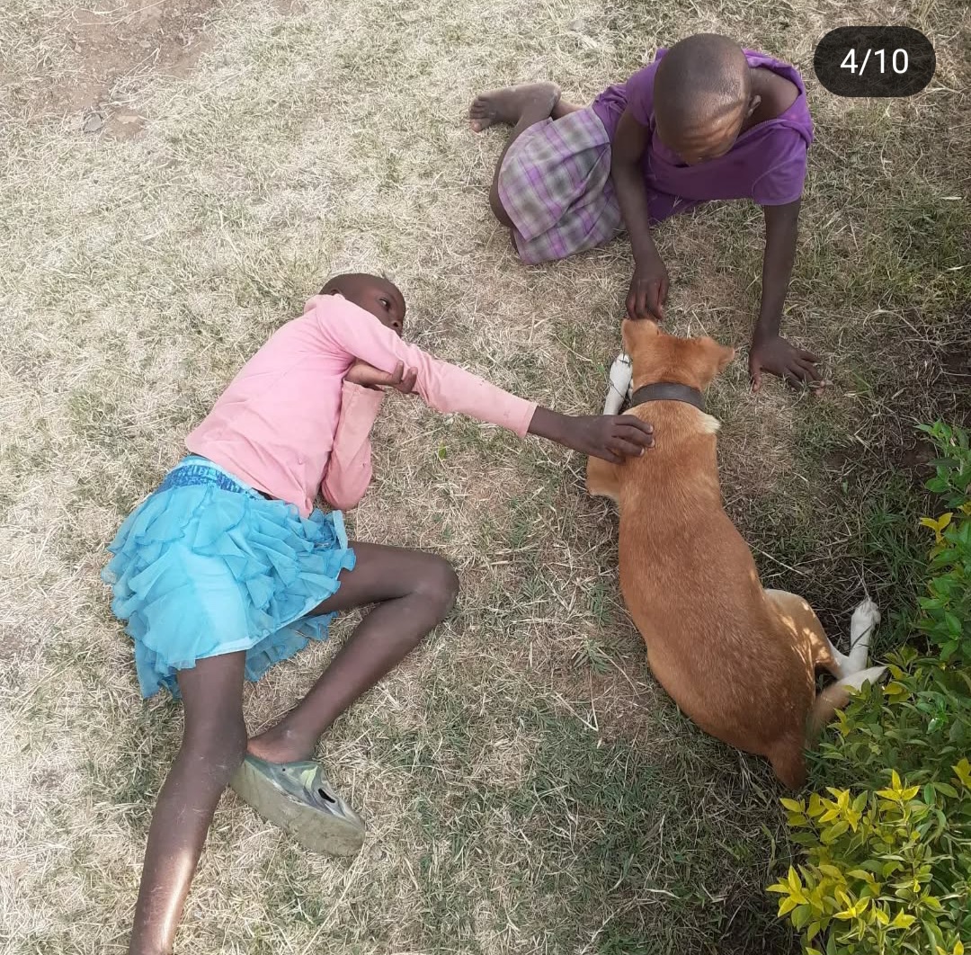 Free time with the kids