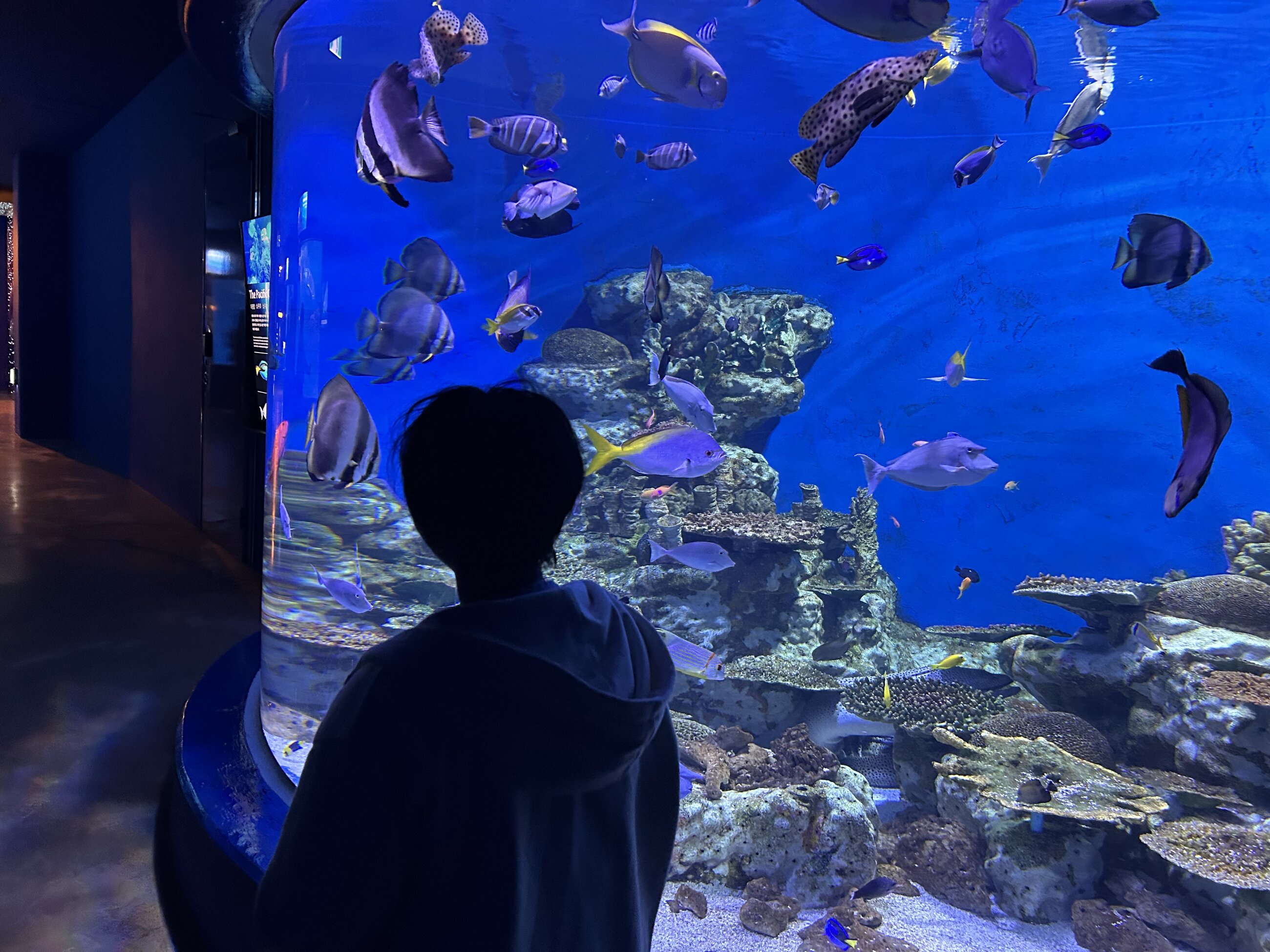 Yeosu Aquarium! 