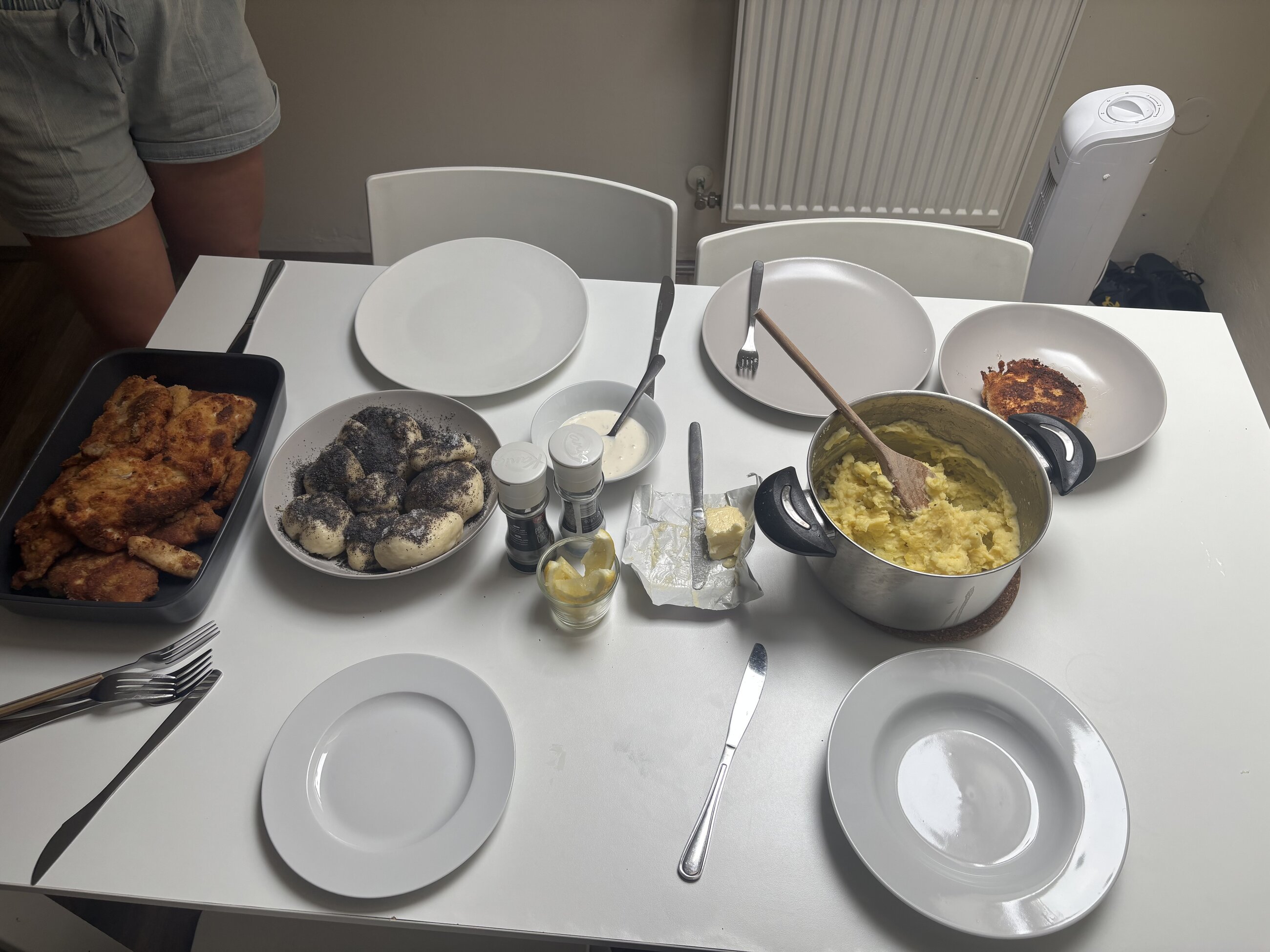 Made a full Czech meal for class with step by step verbal instructions!