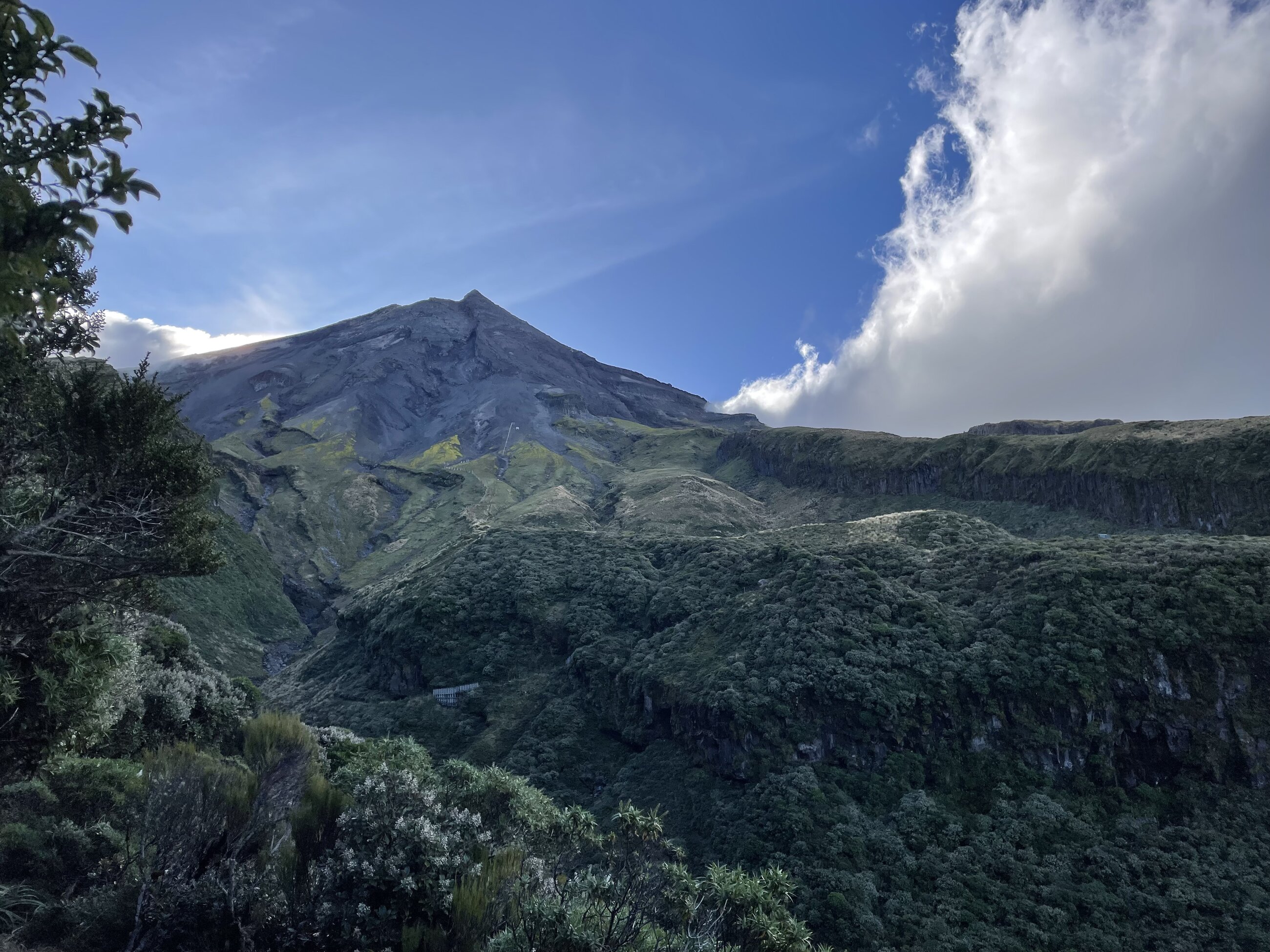 Taranaki