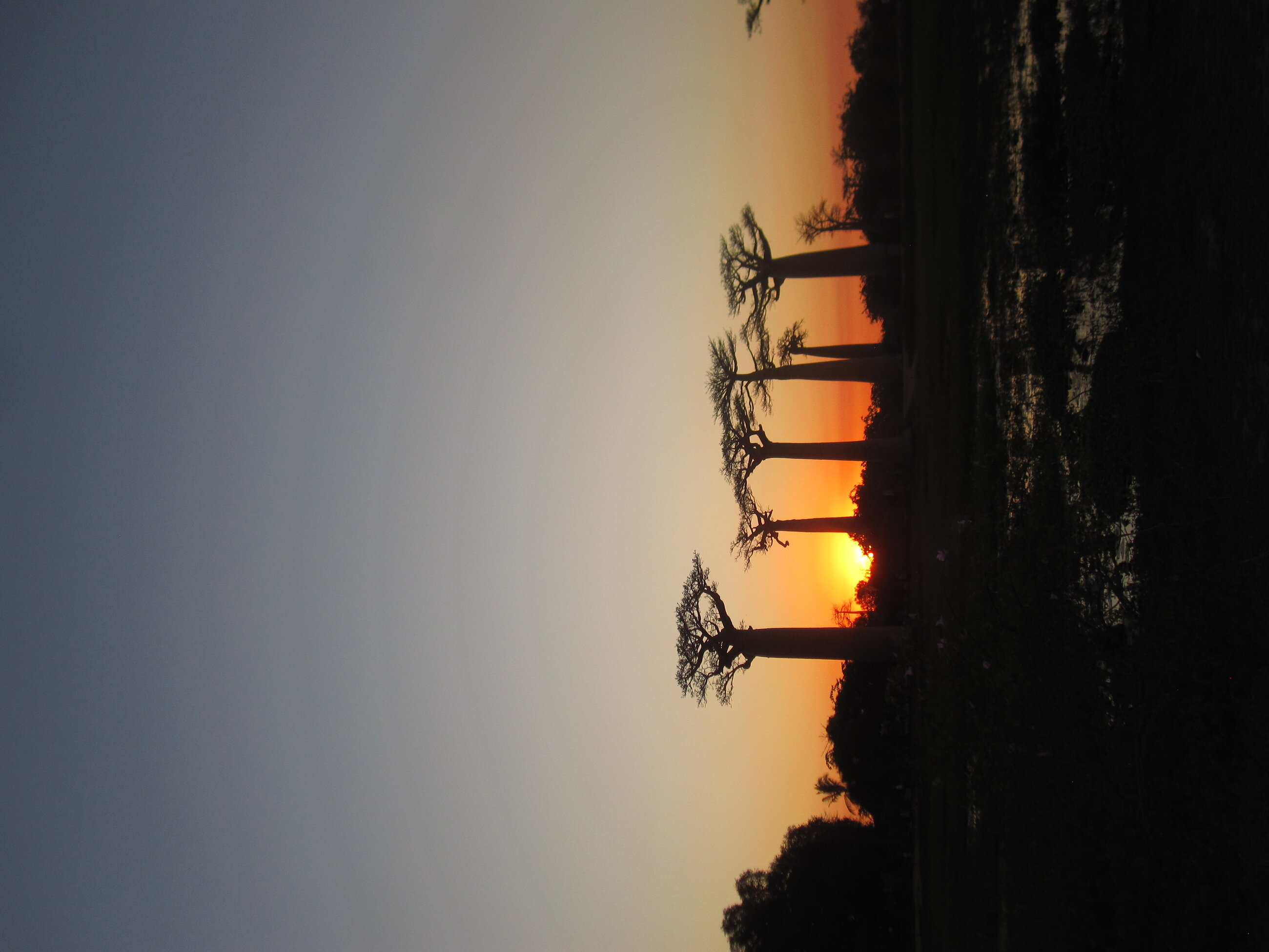Sunset at the Avenue of Baobabs! 
