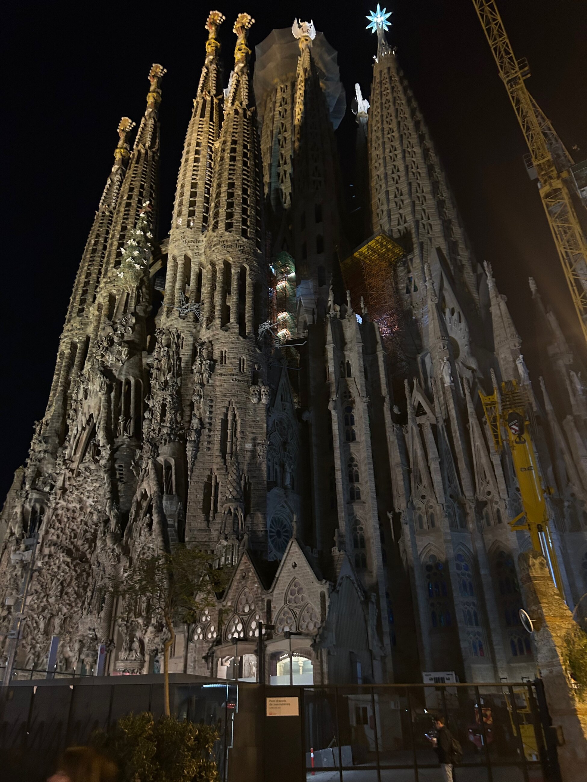 Sagrada Familia at night