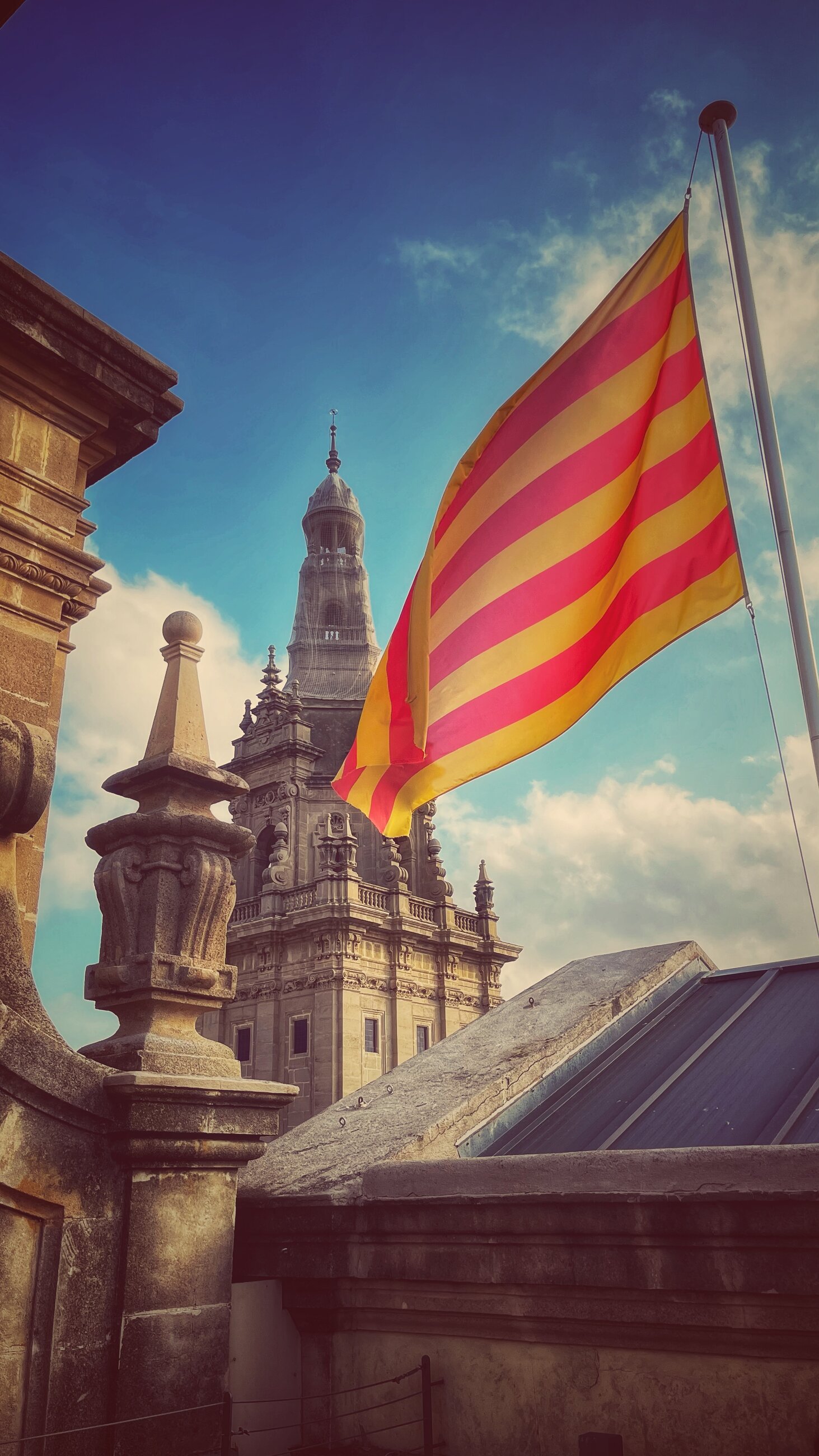 Flag Flies
