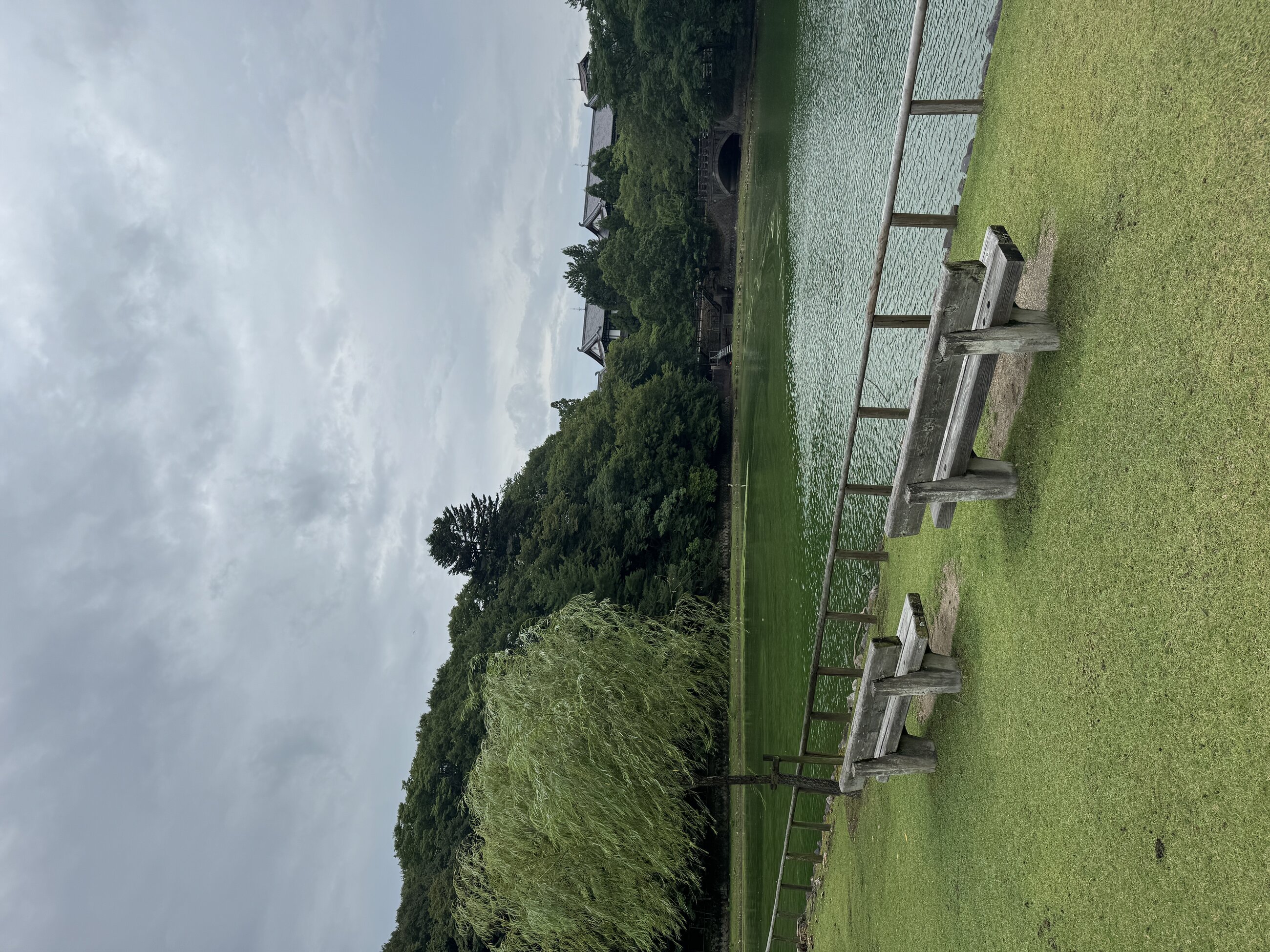 Ara Pond, Nara (Summer Break Trip)