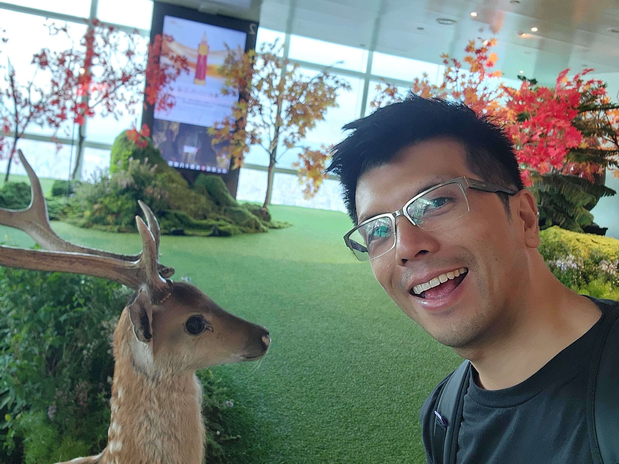 Just a deer at the top of Taipei101