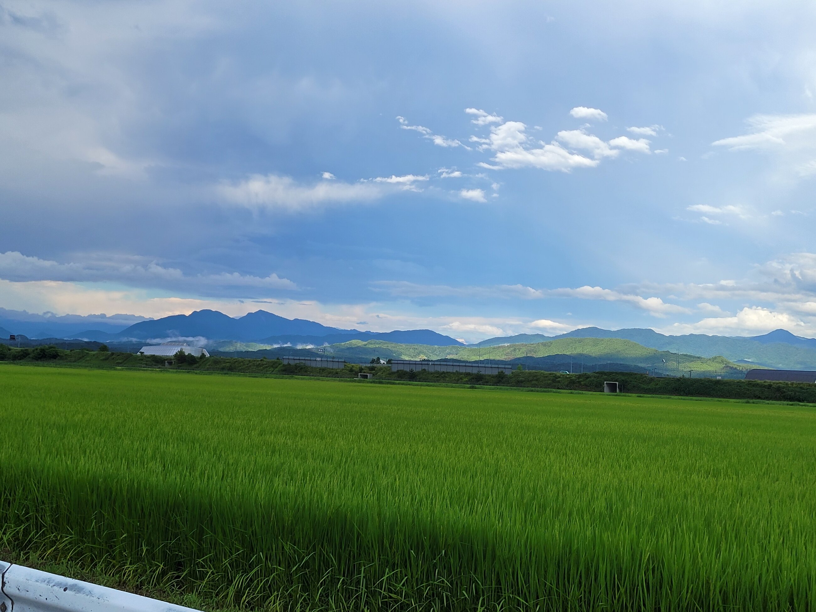 Amazing Landscape