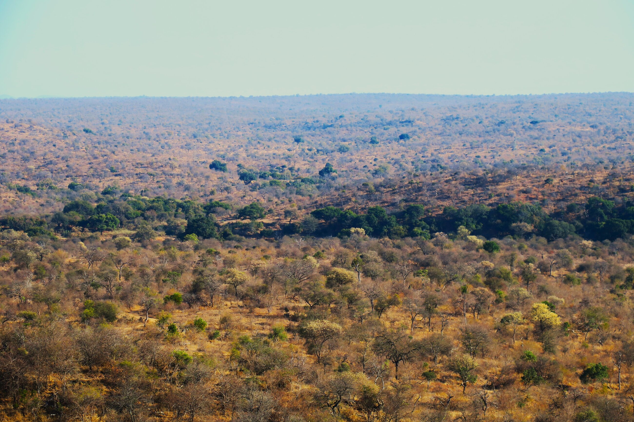 View of the reserve from view point