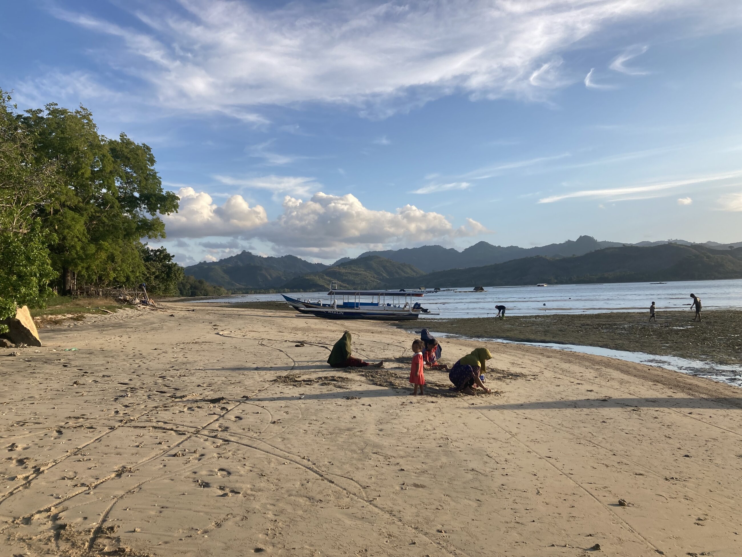 The beach