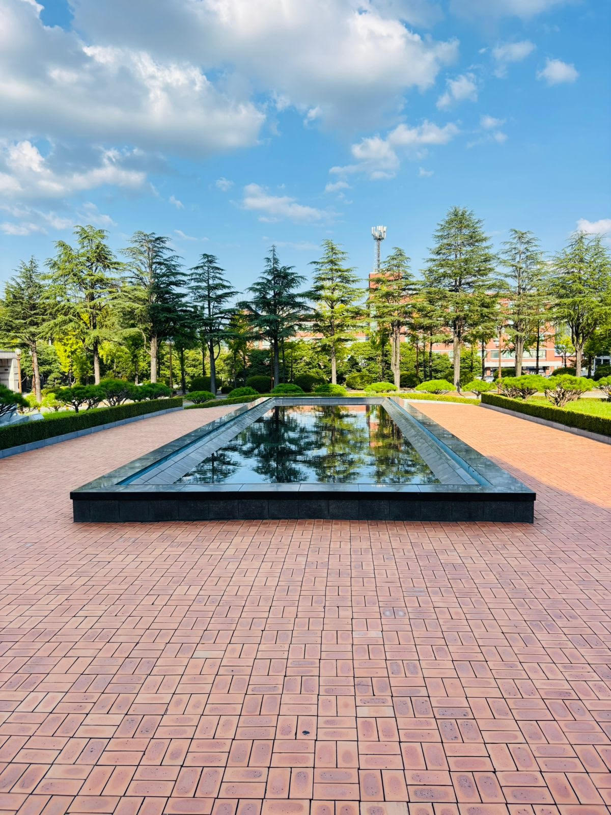 Lastly, Korea is breathtakingly gorgeous. Make sure to snap away!