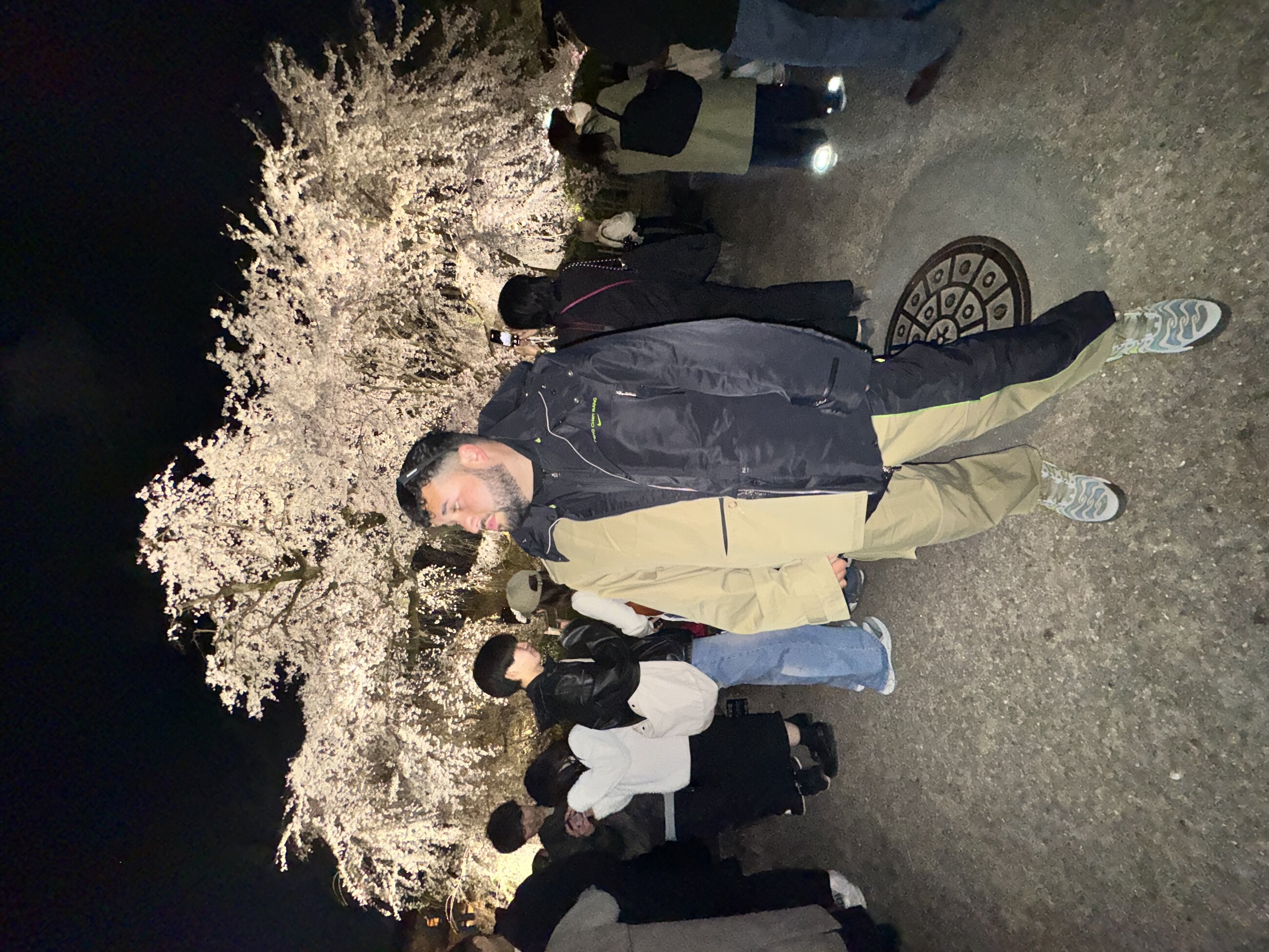 Springtime in Kyoto!
