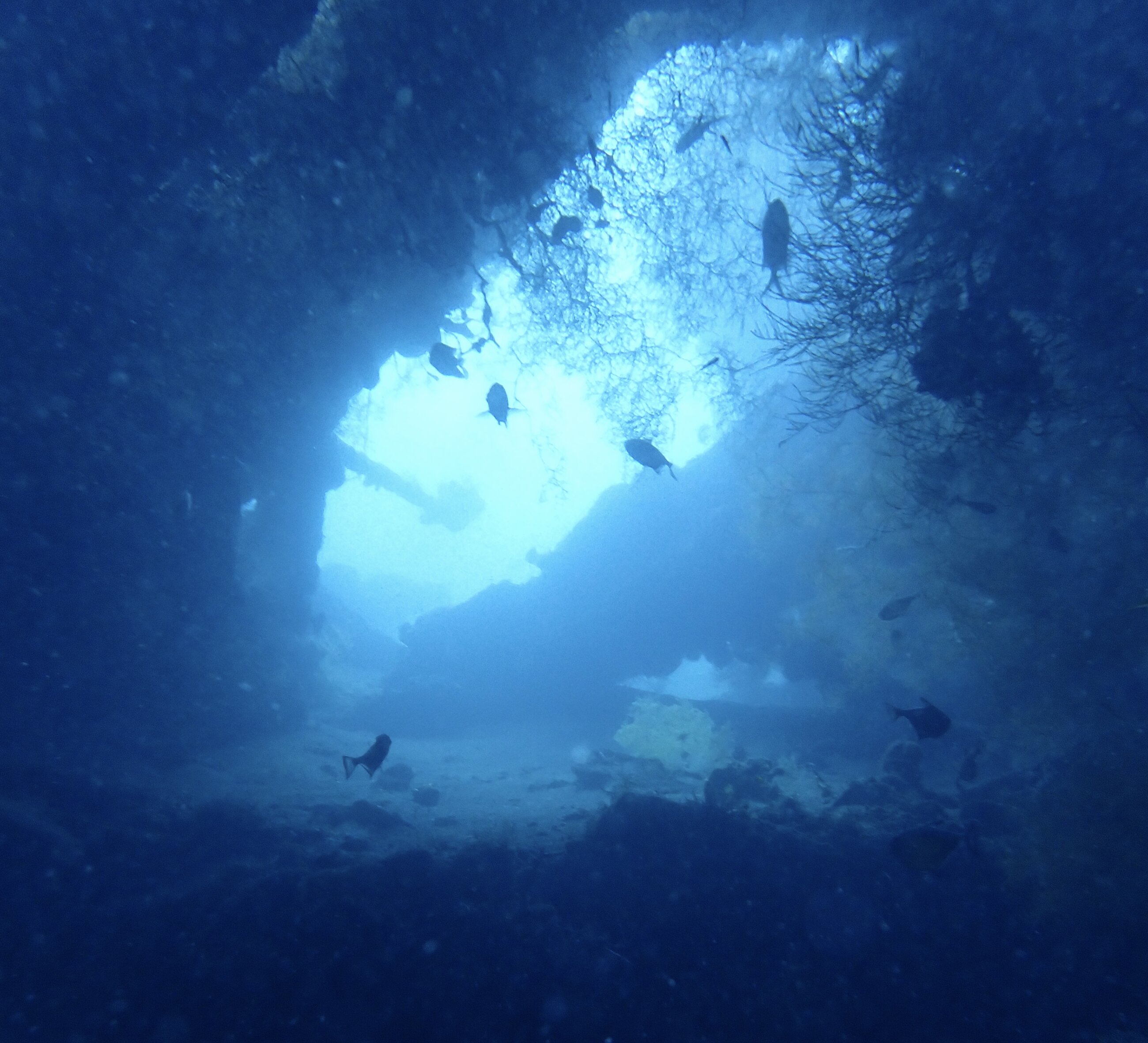 Liberty Wreck Tulamben