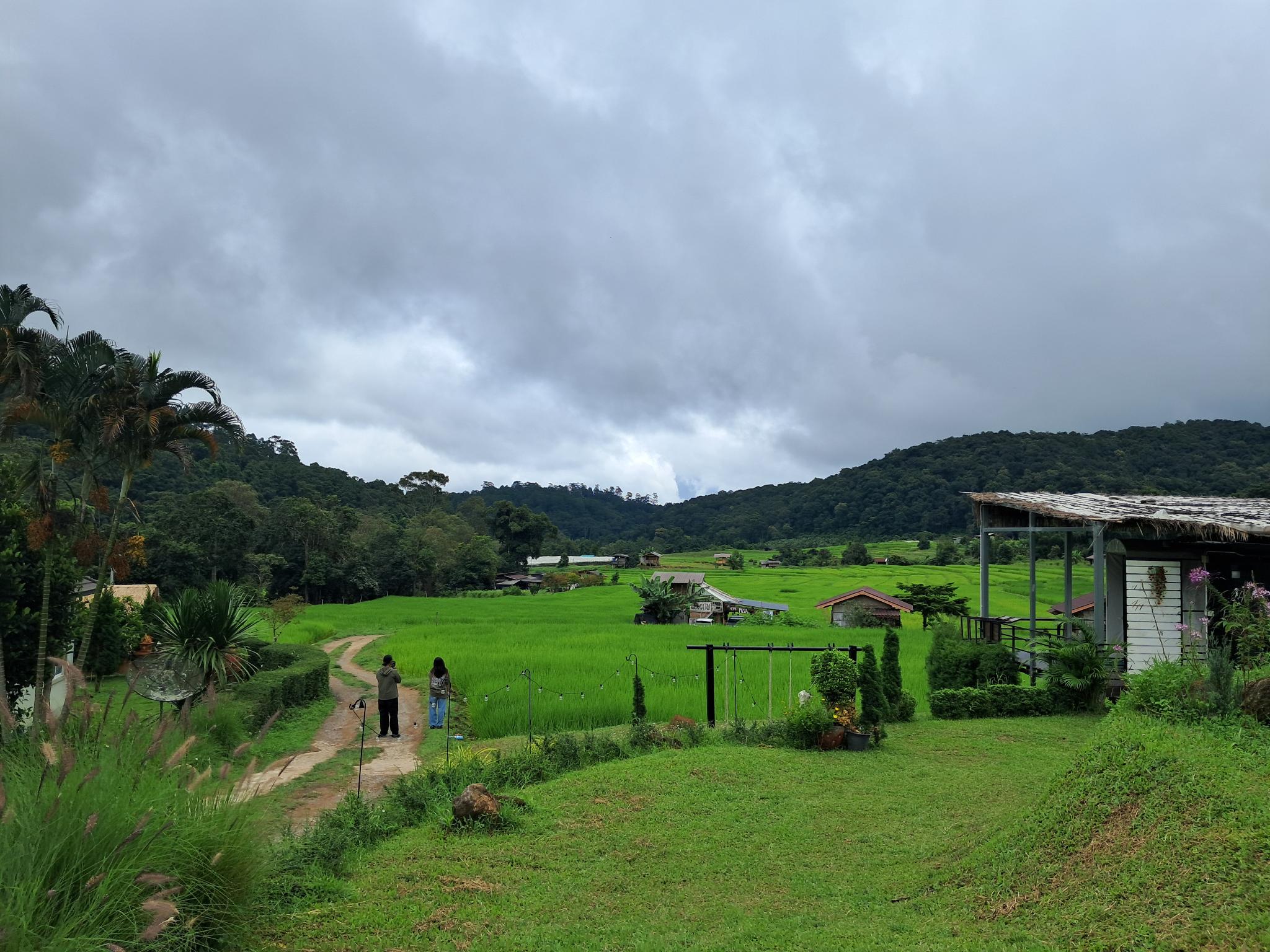 The rice fields in Doi Inthanon National Park 