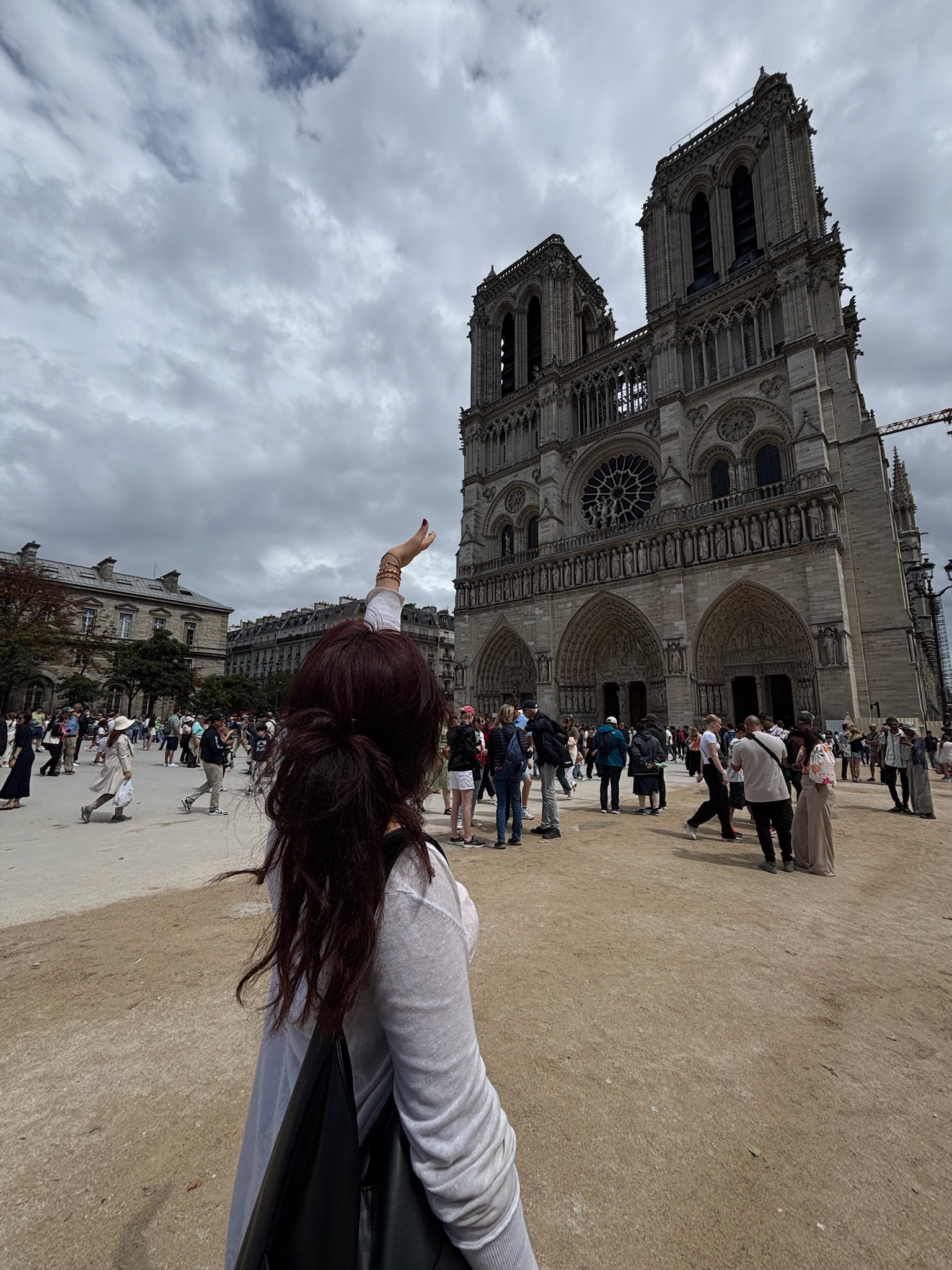 petting notre dame