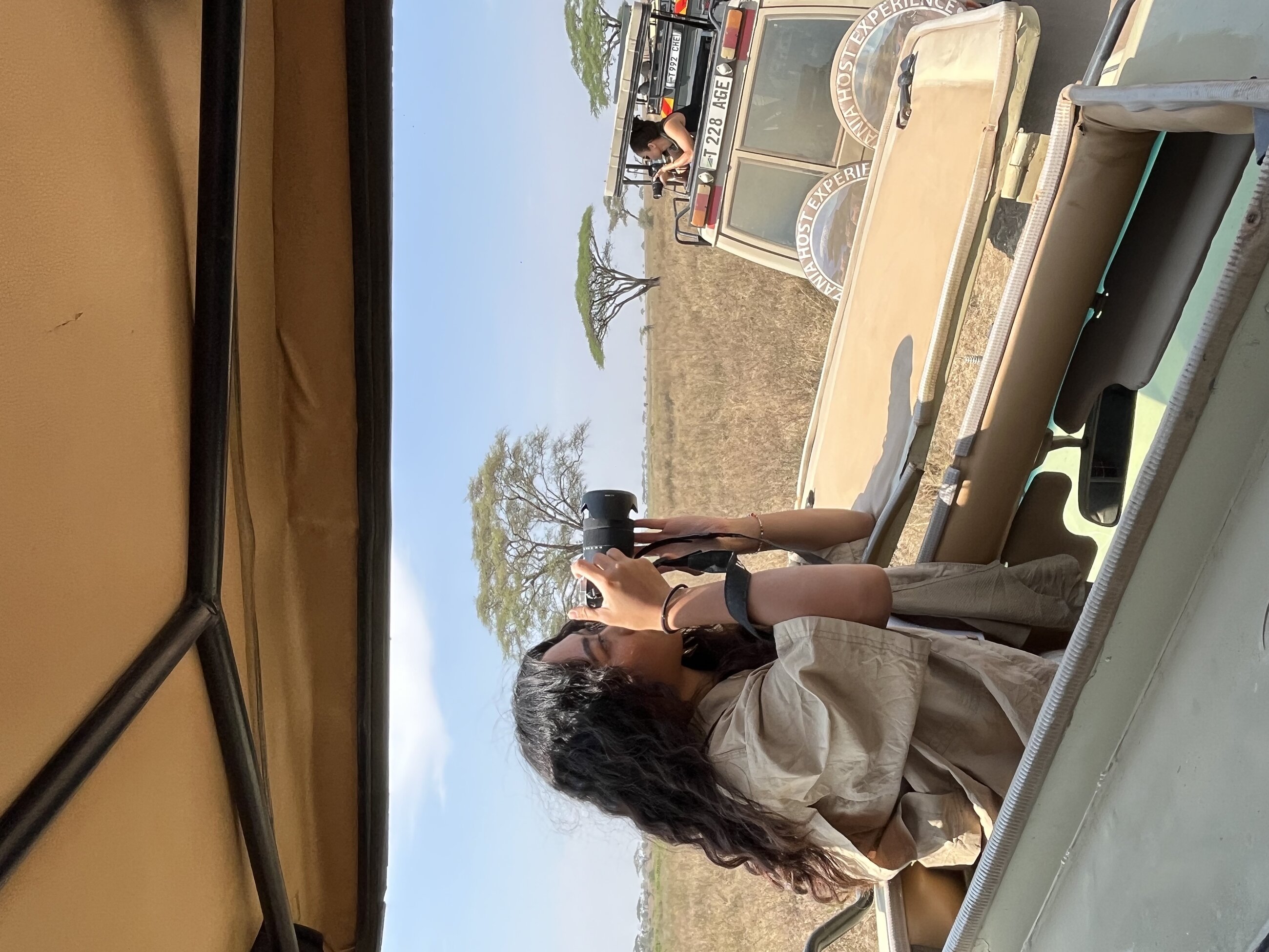 safari through ivhq