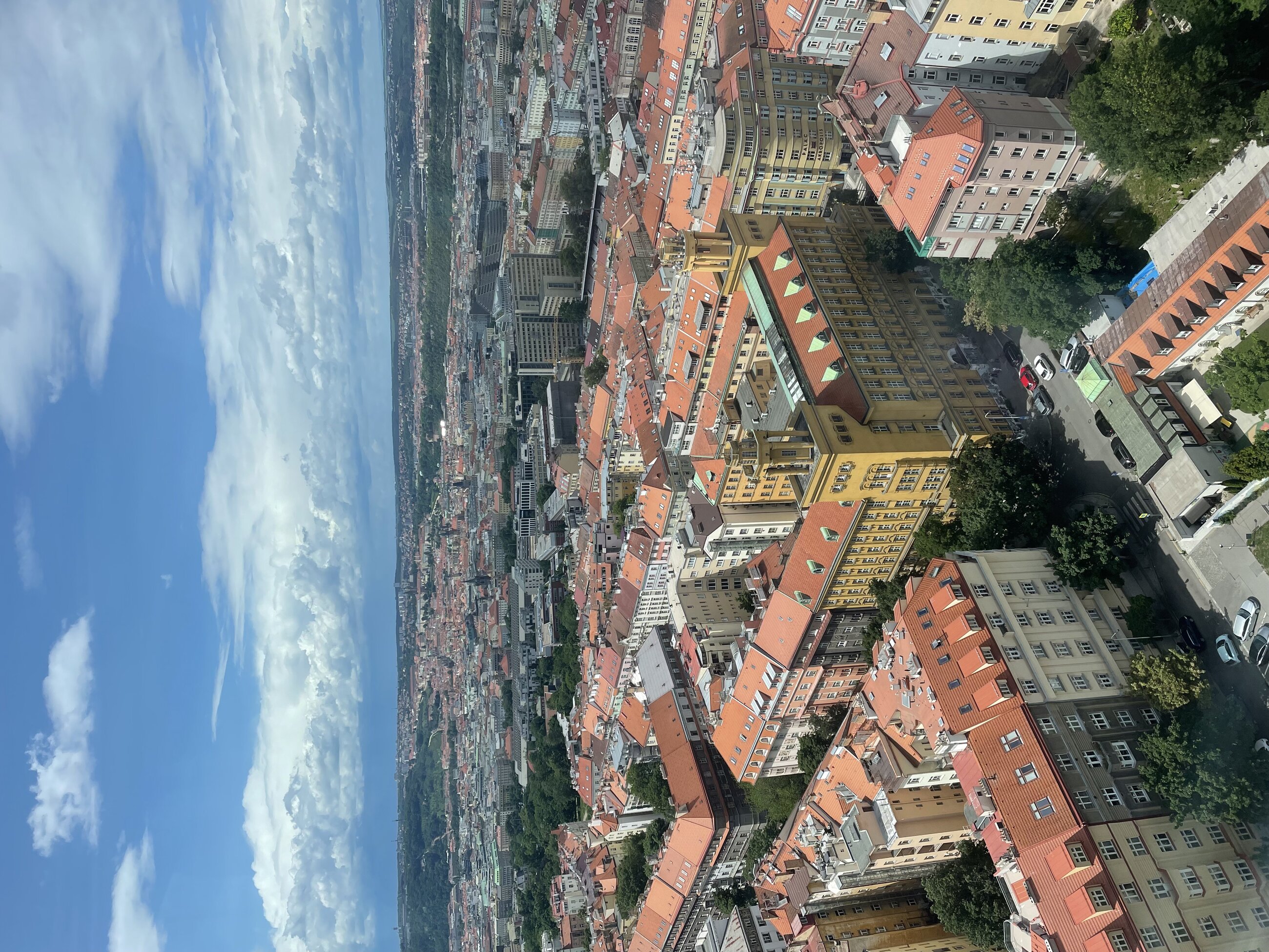 a view of the city from a viewpoint