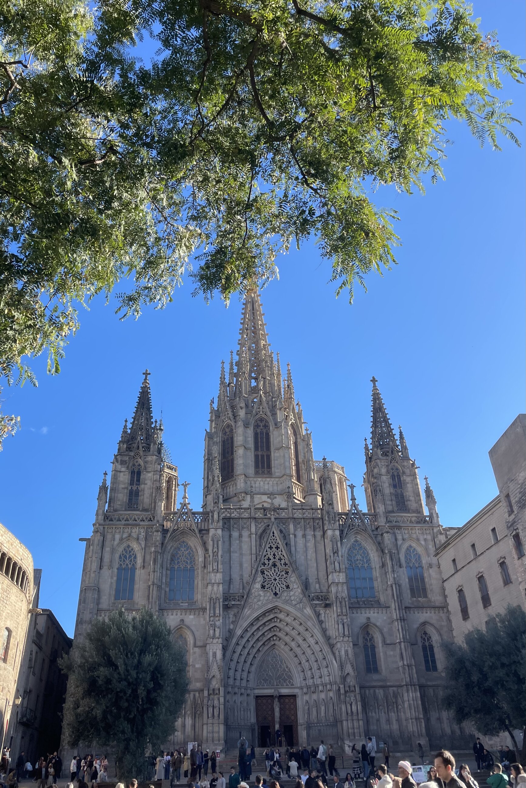 Cathedral of Barcelona
