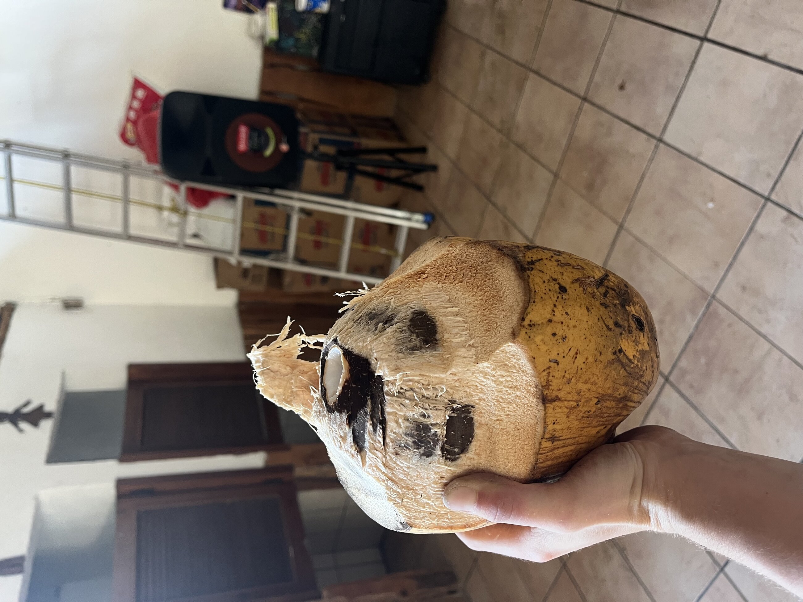 Coco Fruit