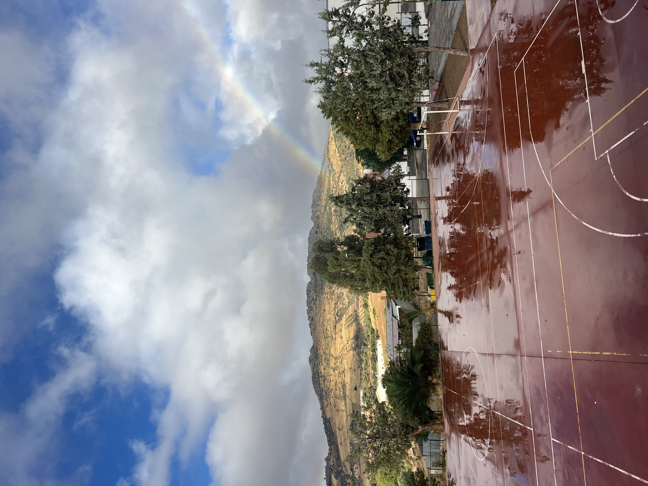 Rainbow in the morning 