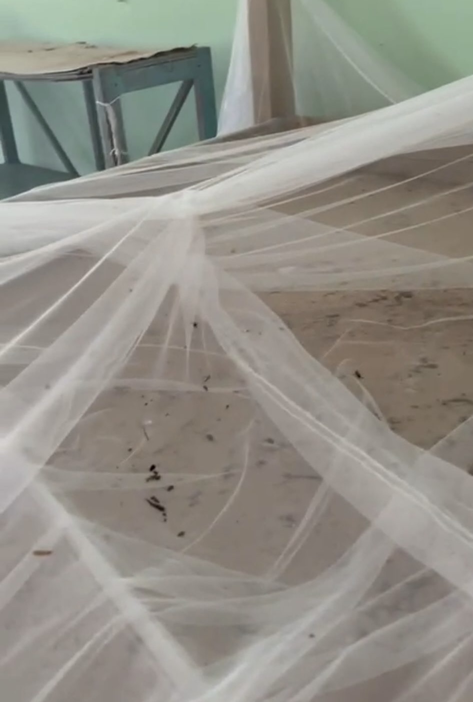 Rat poo on the mosquito nets on the beds - rats crawling on the beds 