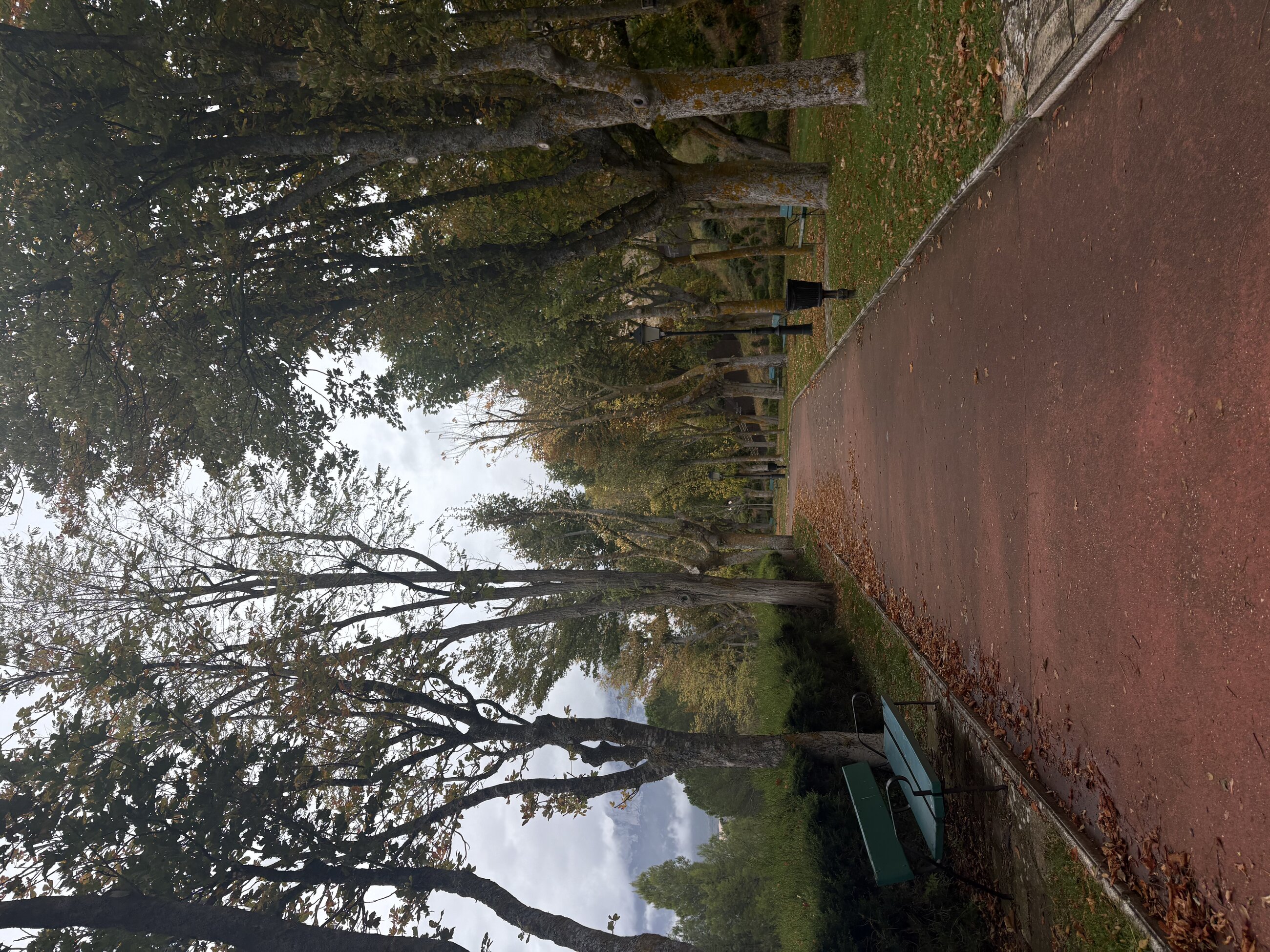 Mid-day walks around Spain!