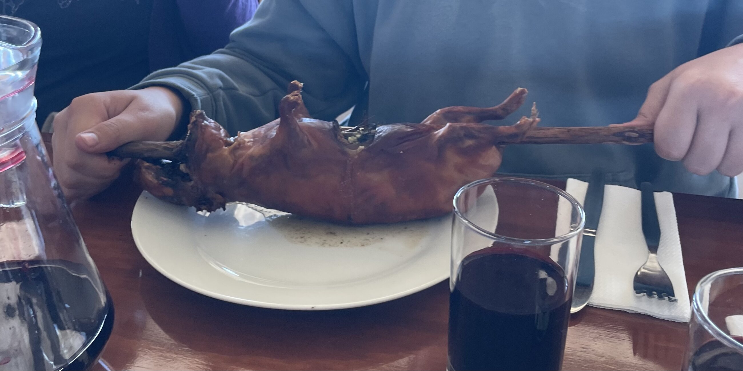 Guinea Pig
