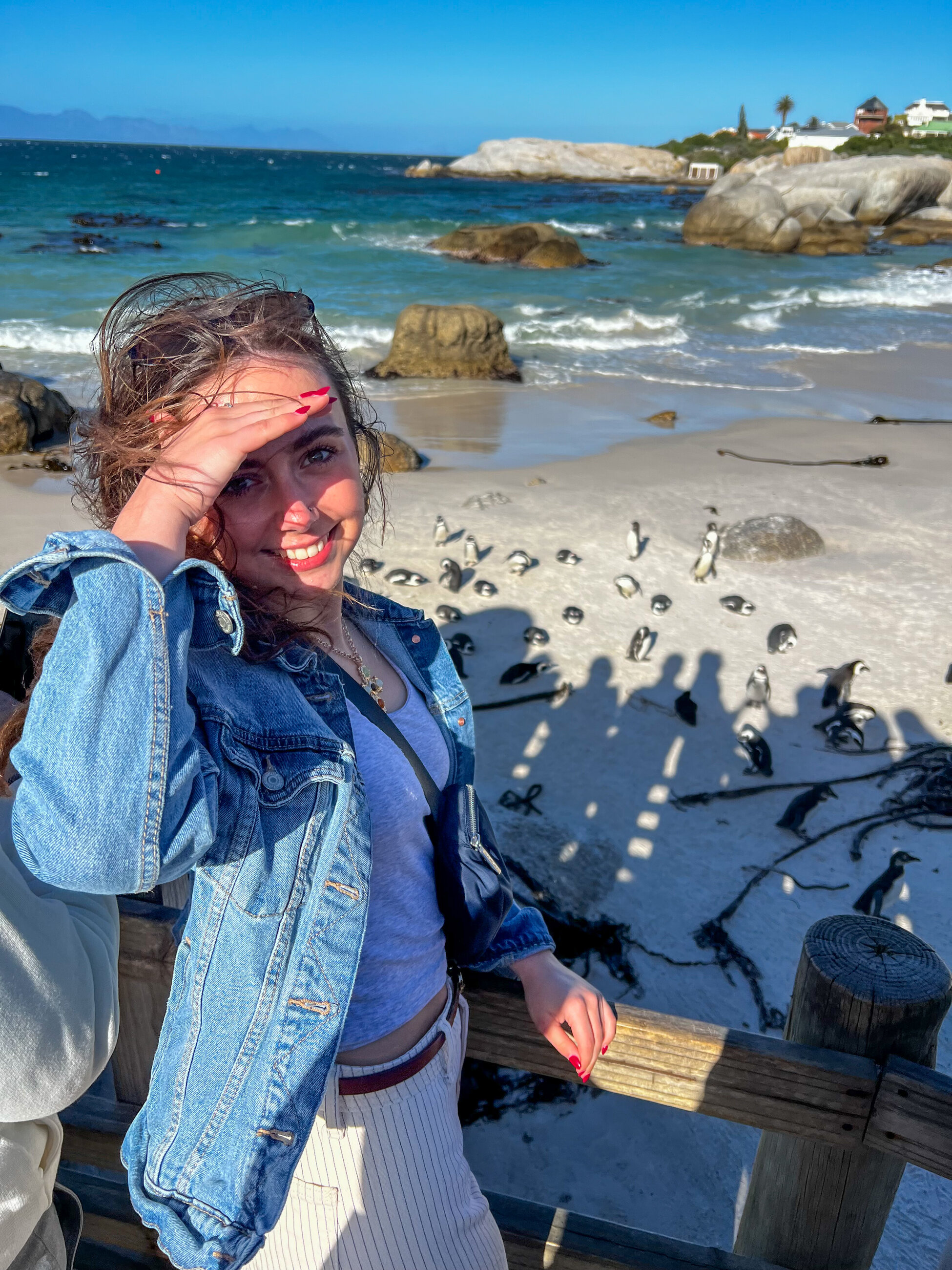 At Boulders Beach to visit the African Penguin colony 