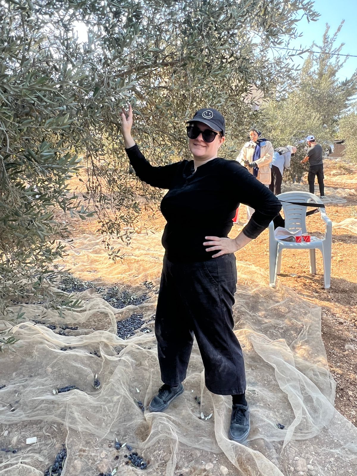 Olive picking Dura