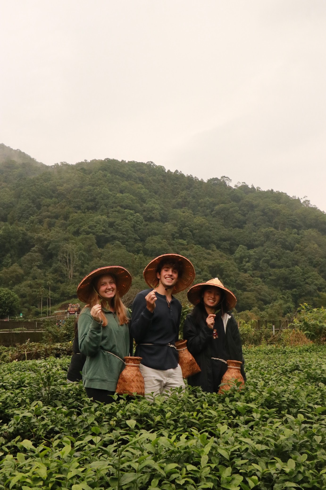 CET led trip to Pinglin District where we learned the process of making tea- here is me and some friends picking the tea leaves ourselves!