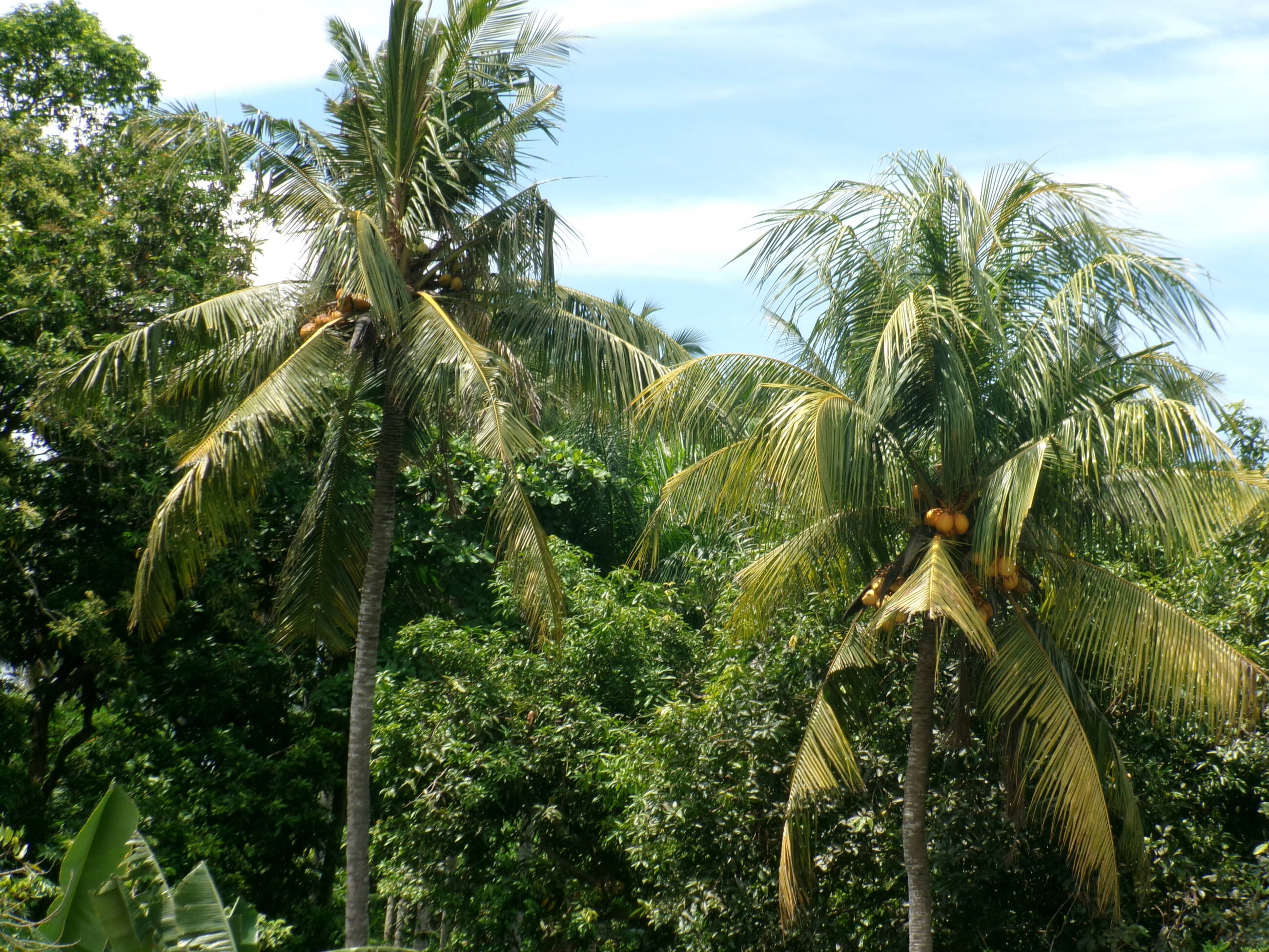 view from accomodation balcony