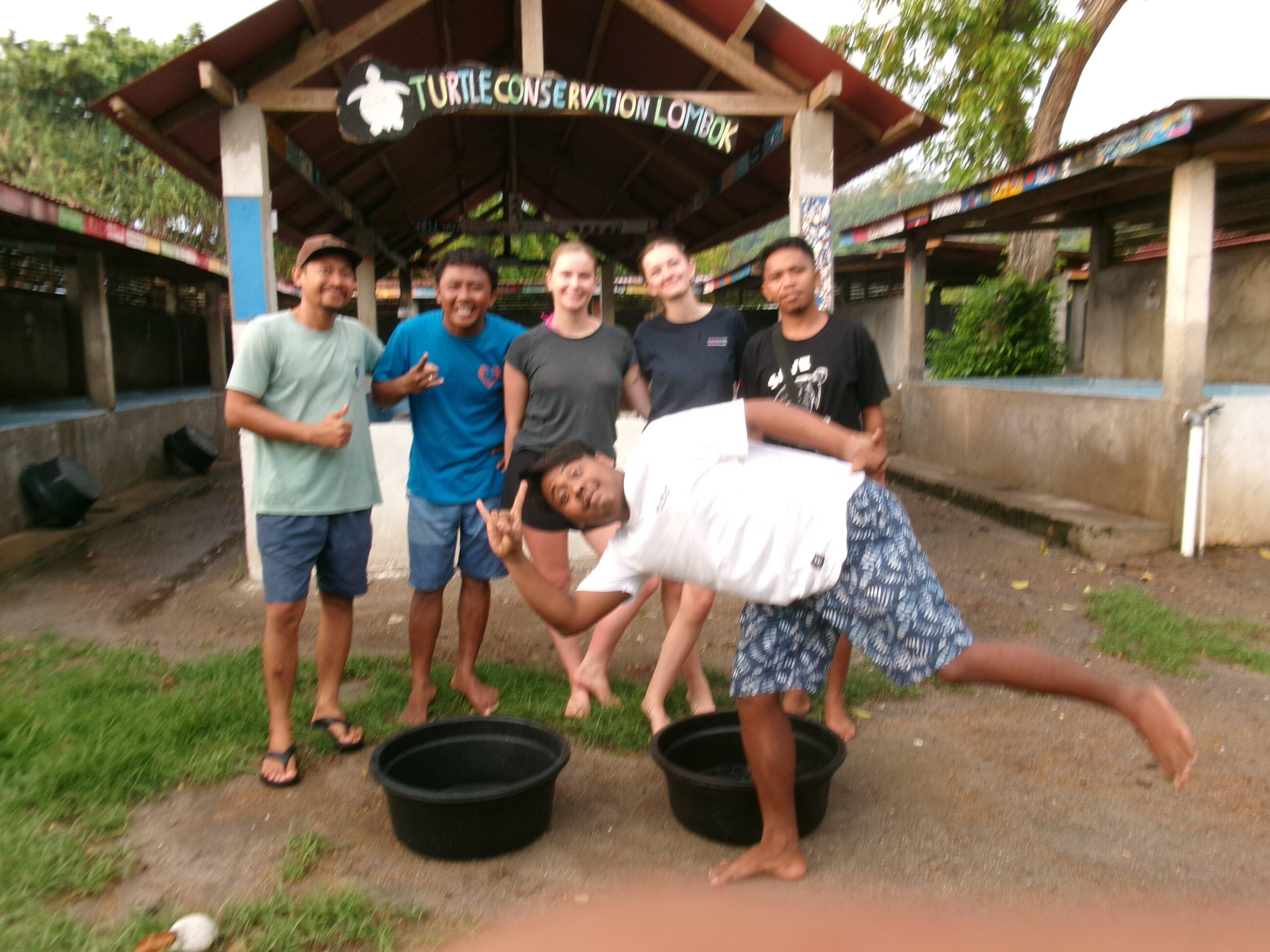 turtle release